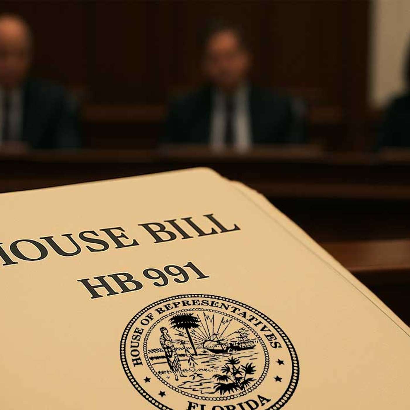 Protecting Florida’s Pool Industry: FSPA's Battle to Safeguard Licensing and Standards