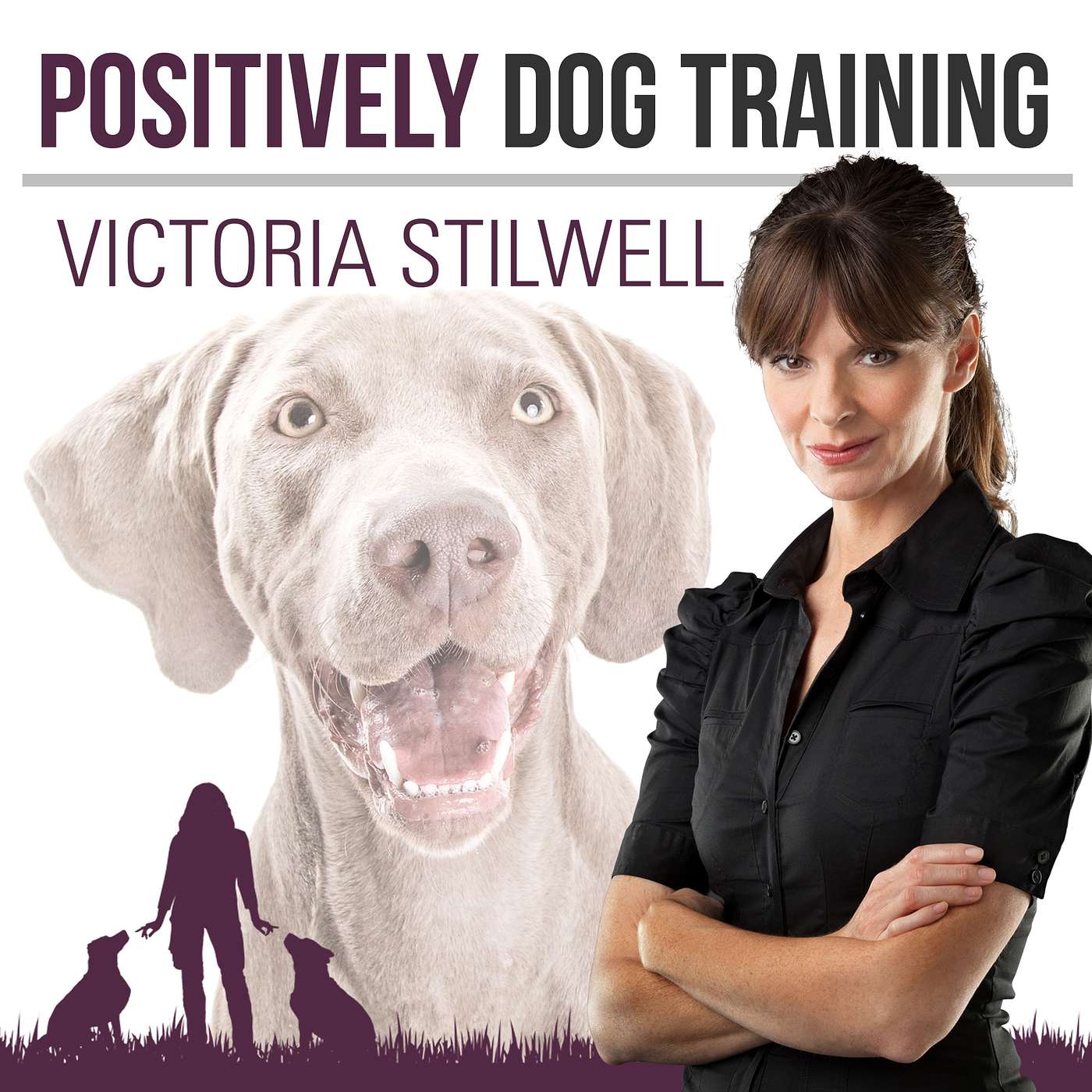 Episode 74: K9 Cognition and Ninja Skills with Roo Yori