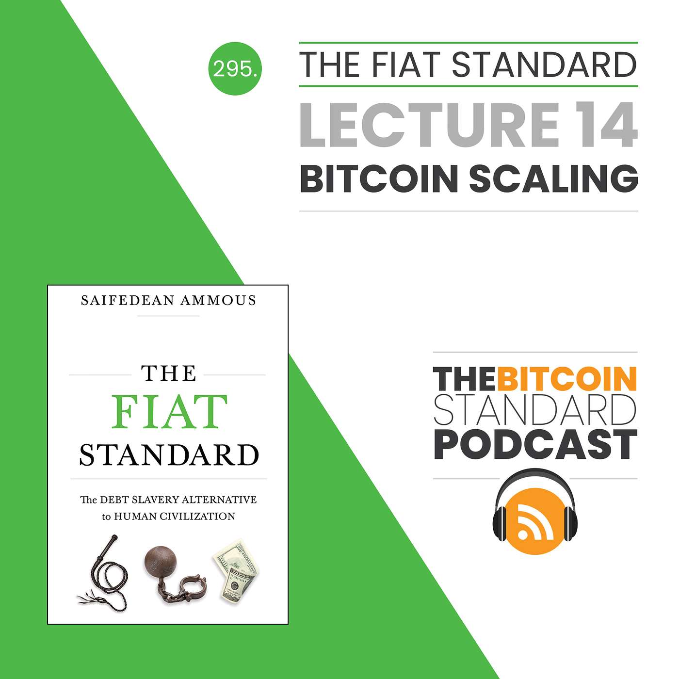 295. The Fiat Standard Lecture 14: Bitcoin Scaling