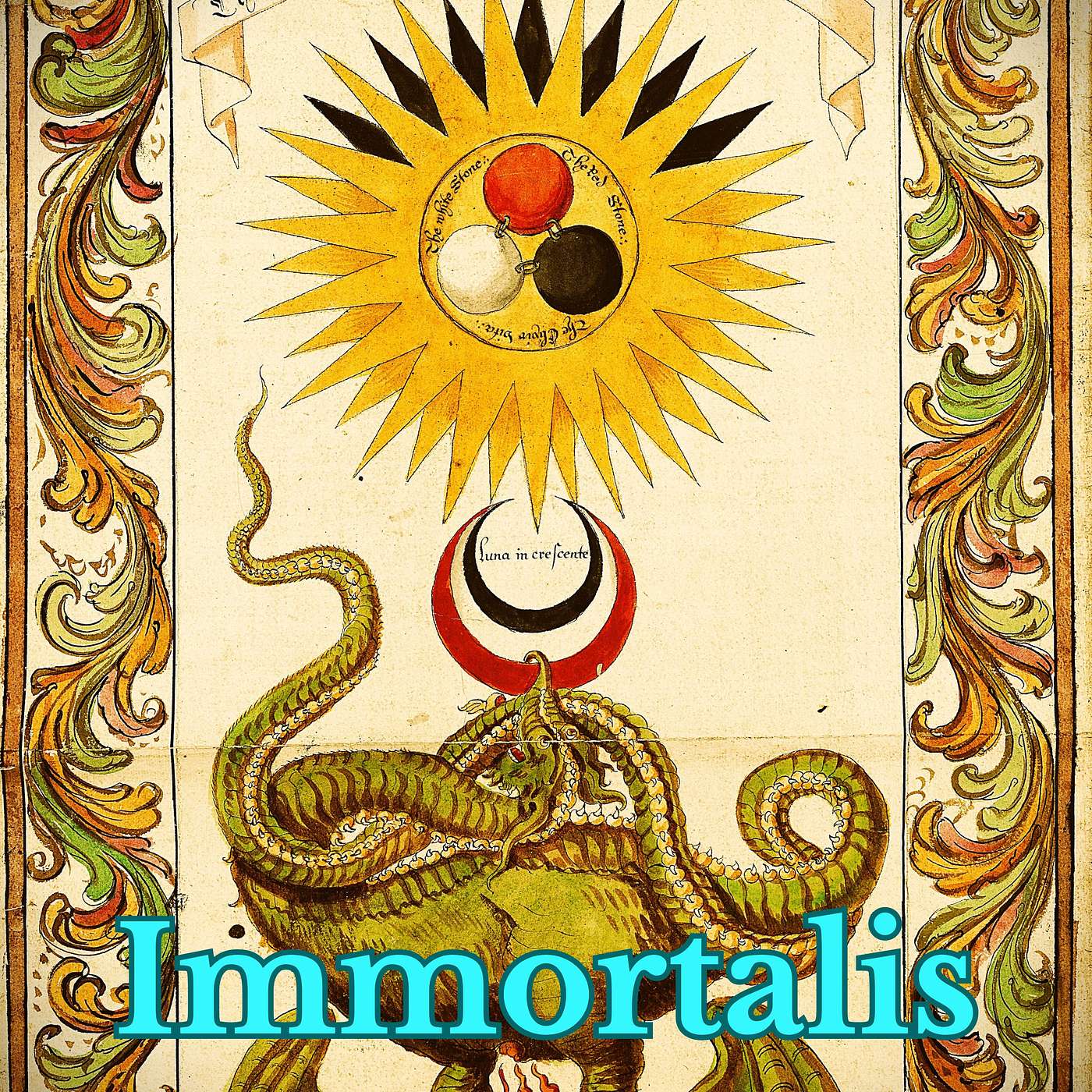 Immortalis