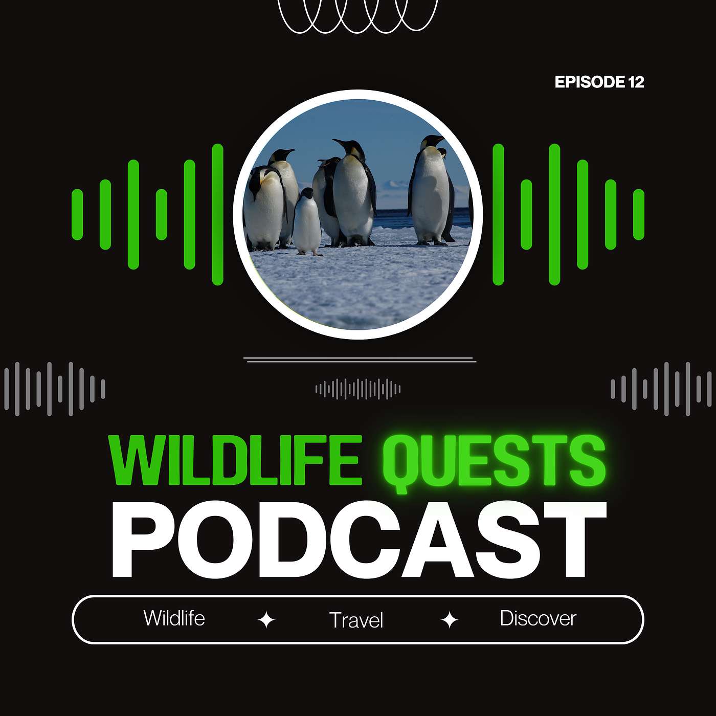 Wildlife Quests