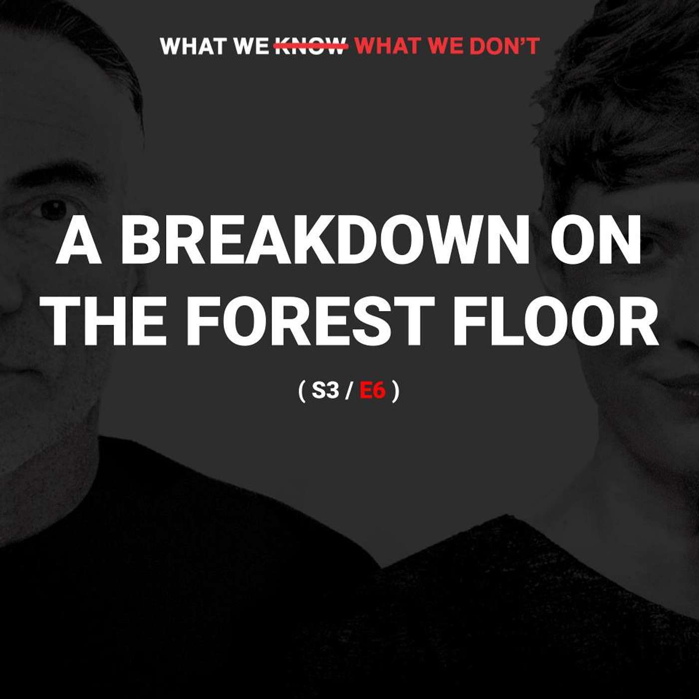 What We Know, What We Don\'t