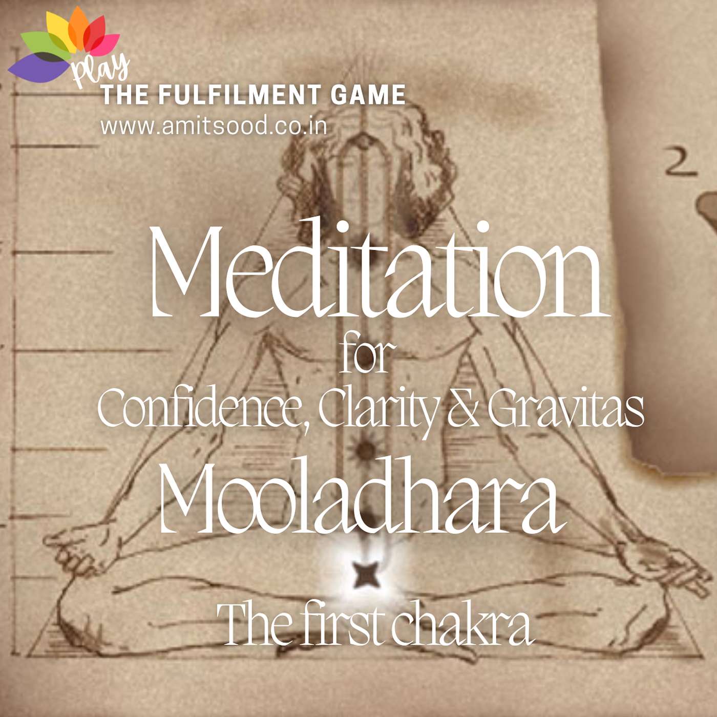 Amit Sood, Coach on Life and Spiritual Fulfilment