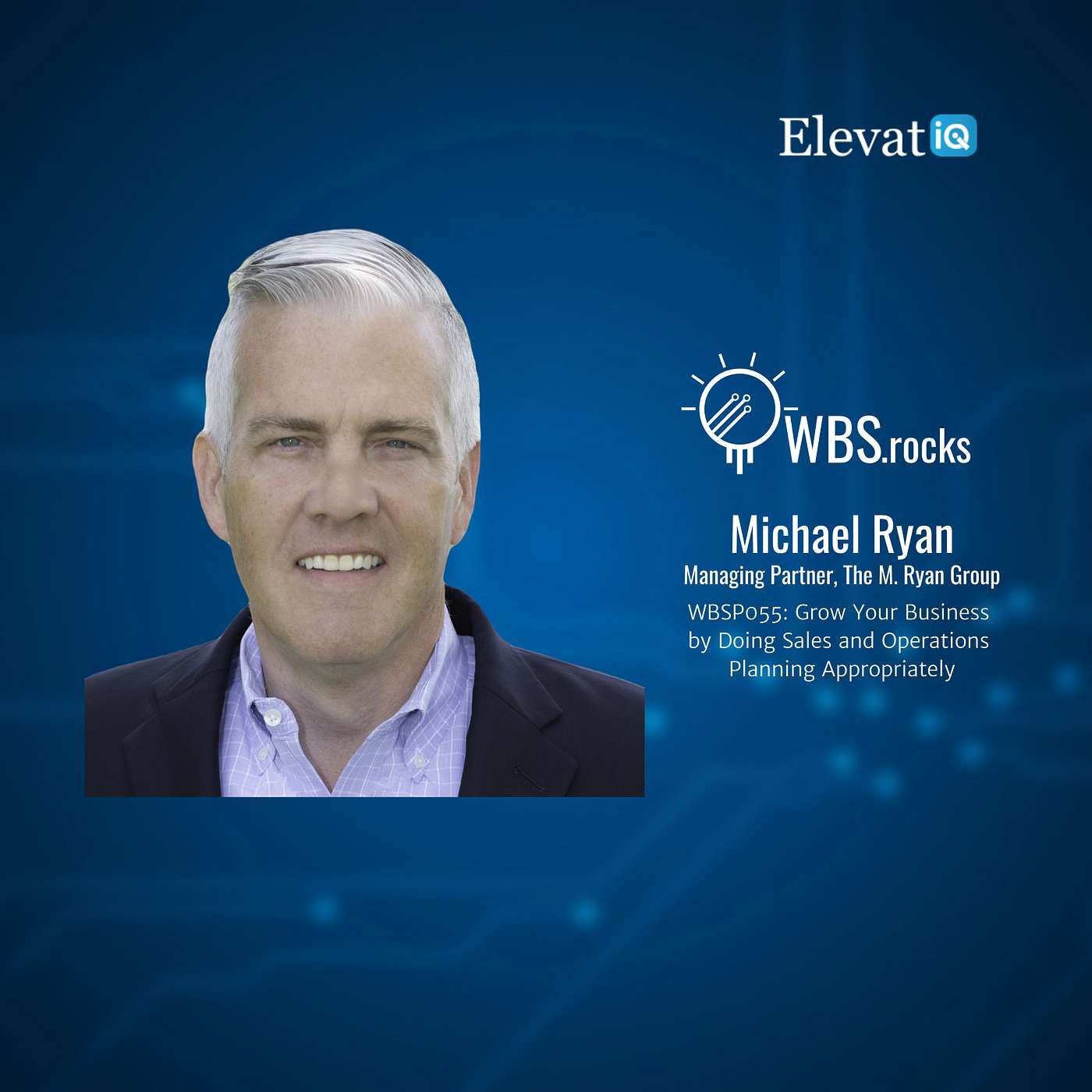 WBSP055: Grow Your Business by Doing Sales and Operations Planning Appropriately w/ Michael Ryan