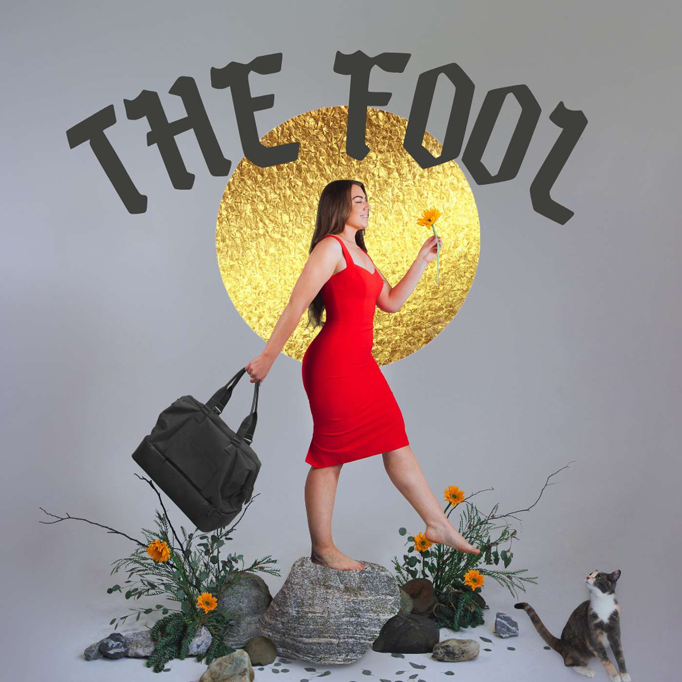 The Fool Podcast podcast artwork