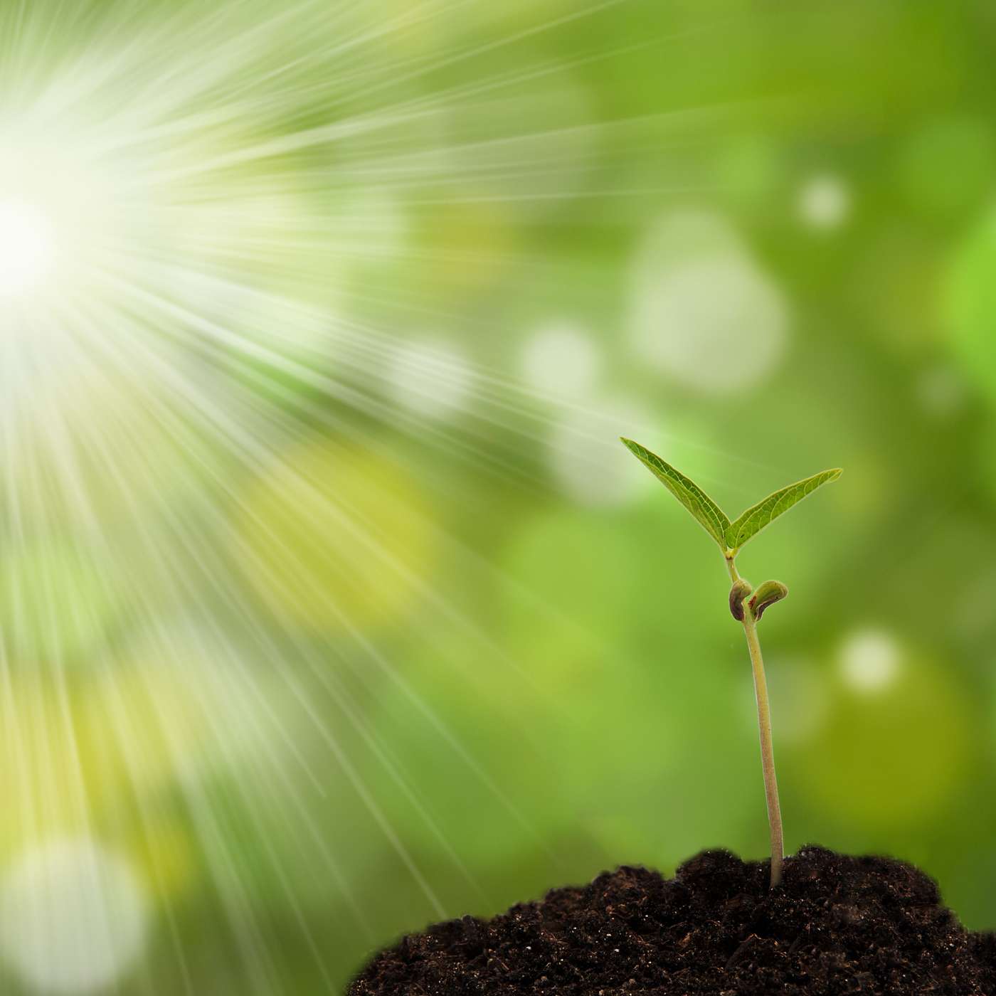 Episode 18: GROW