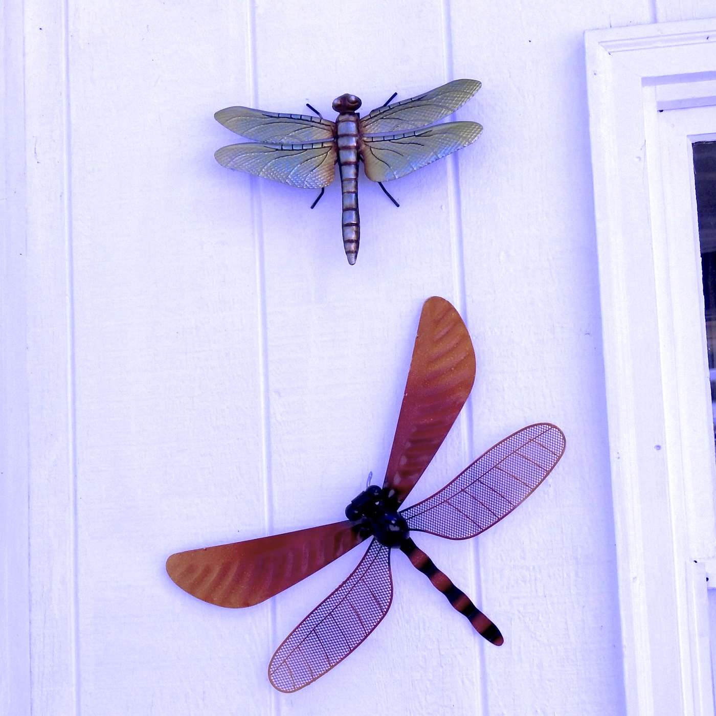 DRAGON FLIES