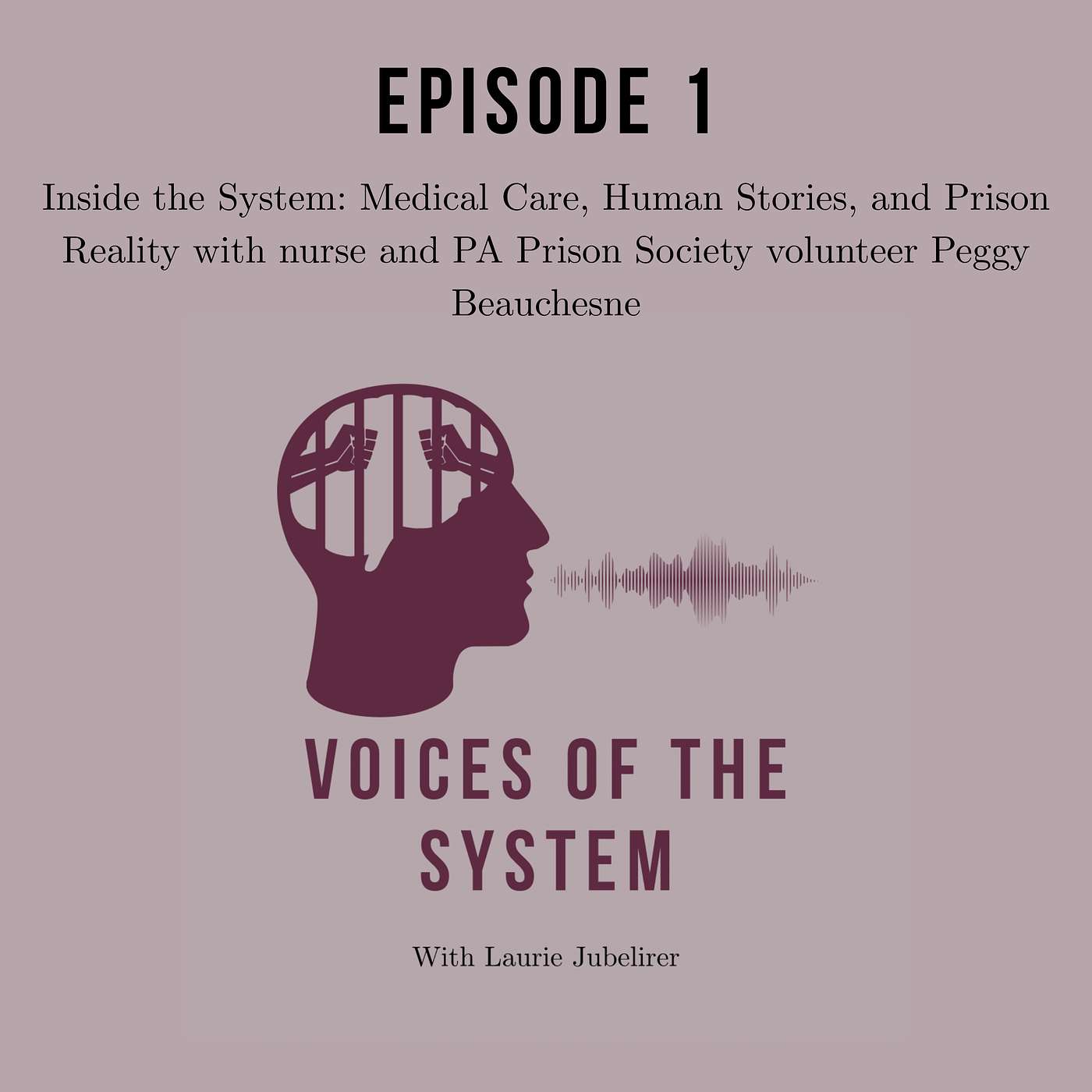 Inside the System: Medical Care, Human Stories, and Prison Reality with nurse and PA Prison Society volunteer Peggy Beauchesne episode artwork