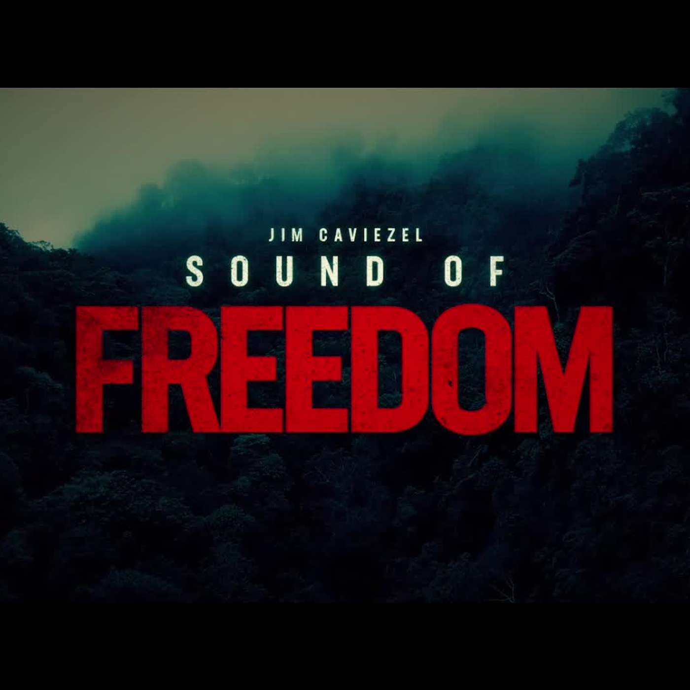 Could Sound of Freedom be Happening in your Neighborhood : Mad Men of Masculinity
