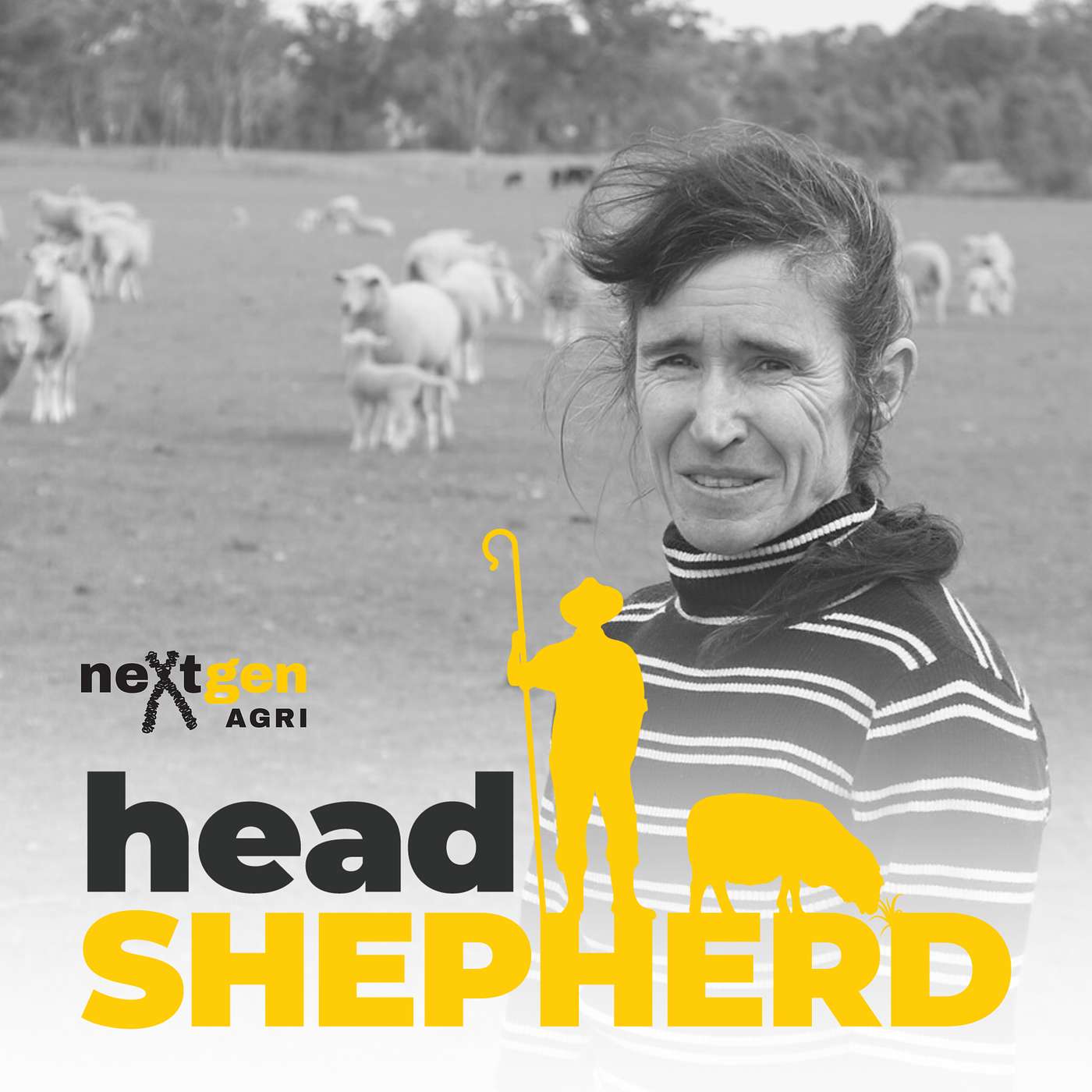 Caffeine and Confinement: Lamb Survival and Reproduction with Dr. Susan Robertson