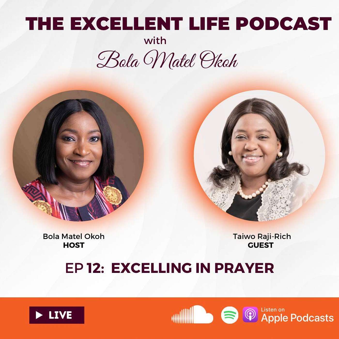 The Excellent Life Podcast