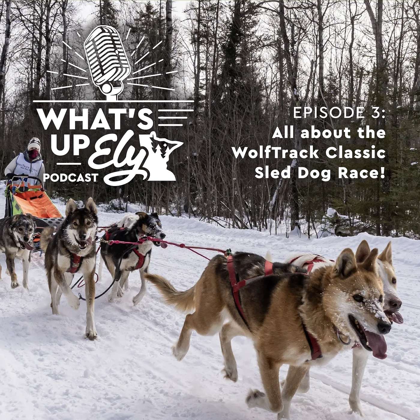 What\'s Up Ely