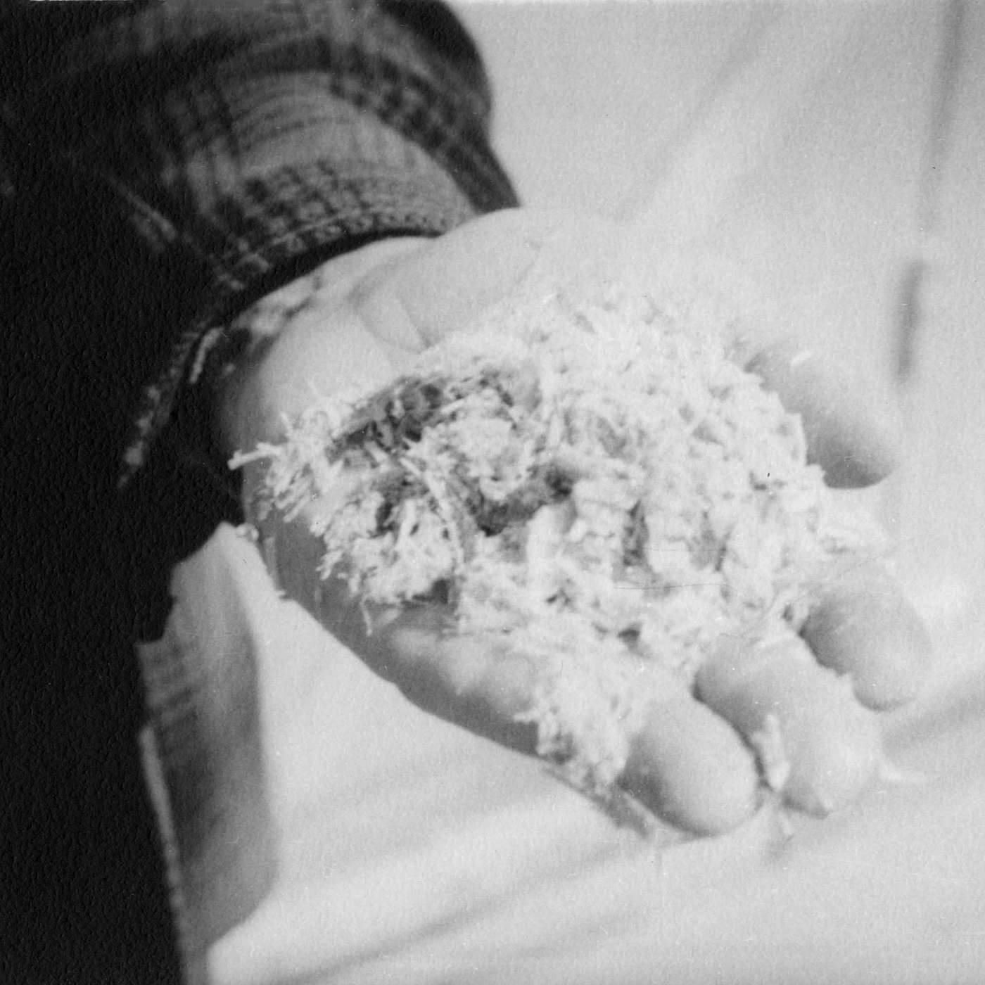 On the Line: Stories of BC Workers