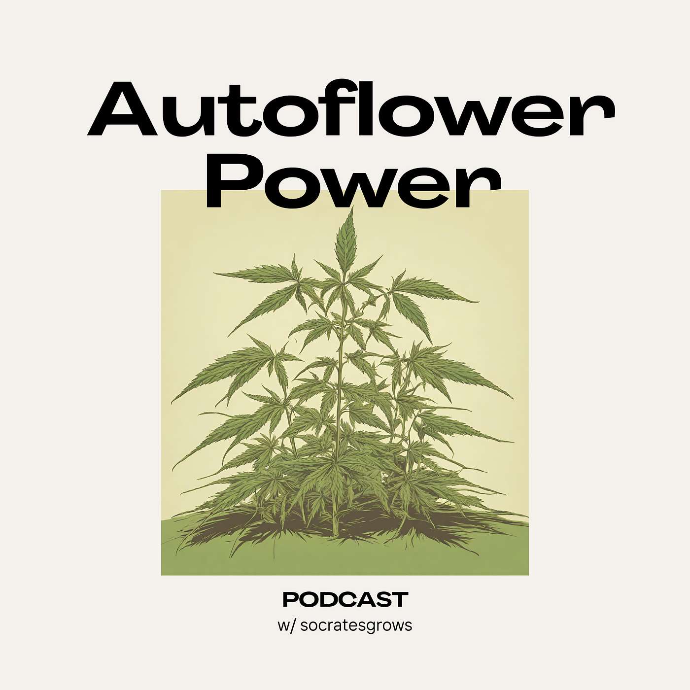 On The Vegetative Stage On The Vegetative Stage