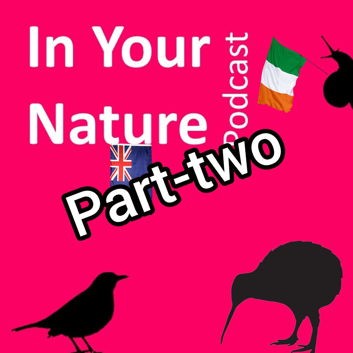 In Your Nature Ep 45 - Ireland Vs New Zealand Bird-off Part 2