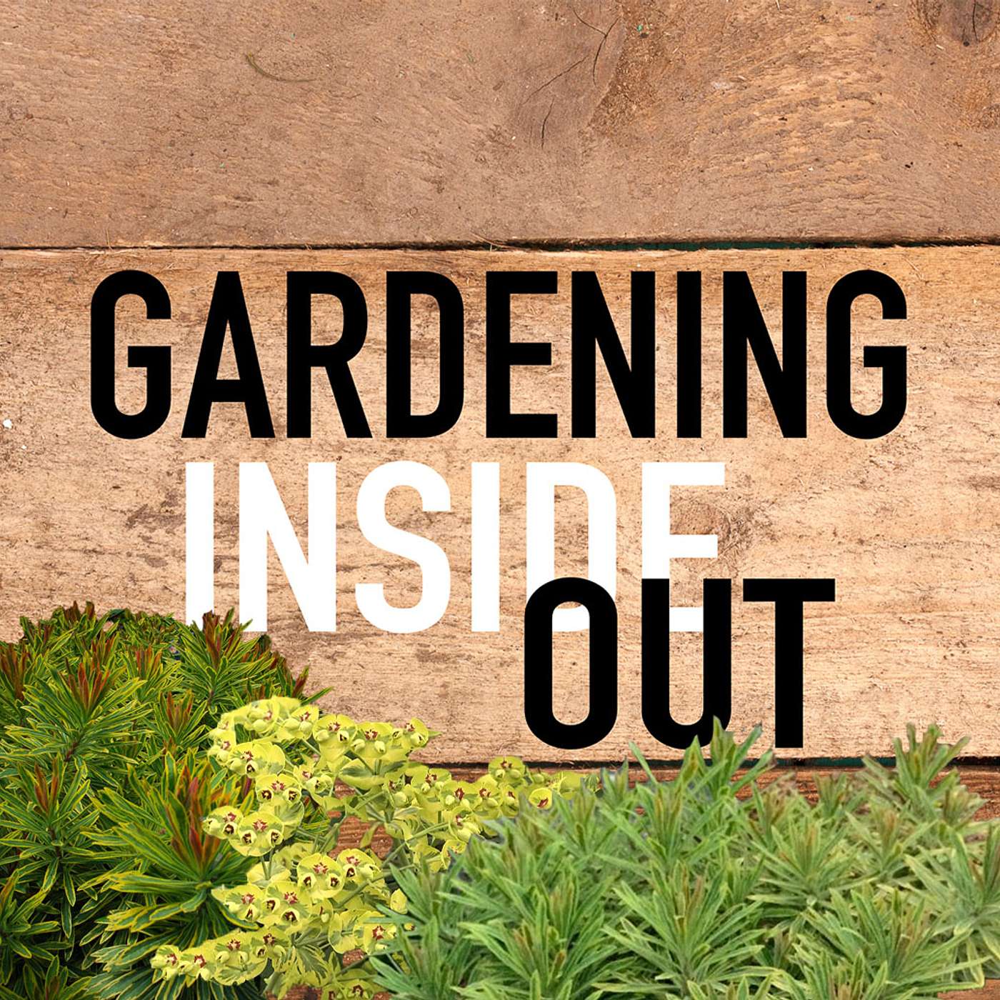 Ep. 136 | Spring is springing, Tyler's pond choices, Late freeze | March 7 Ep. 136 | Spring is springing, Tyler's pond choices, Late freeze | March 7