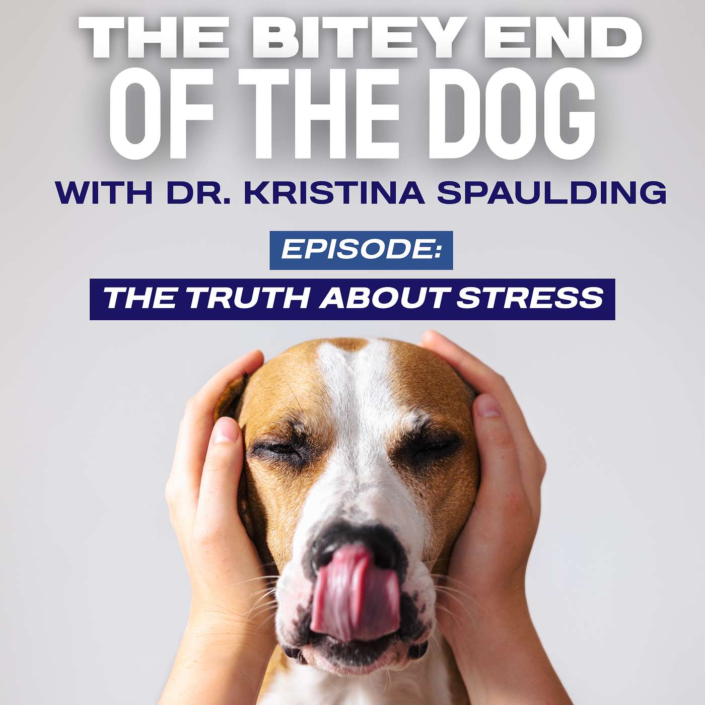 The Truth About Stress with Dr. Kristina Spaulding episode artwork