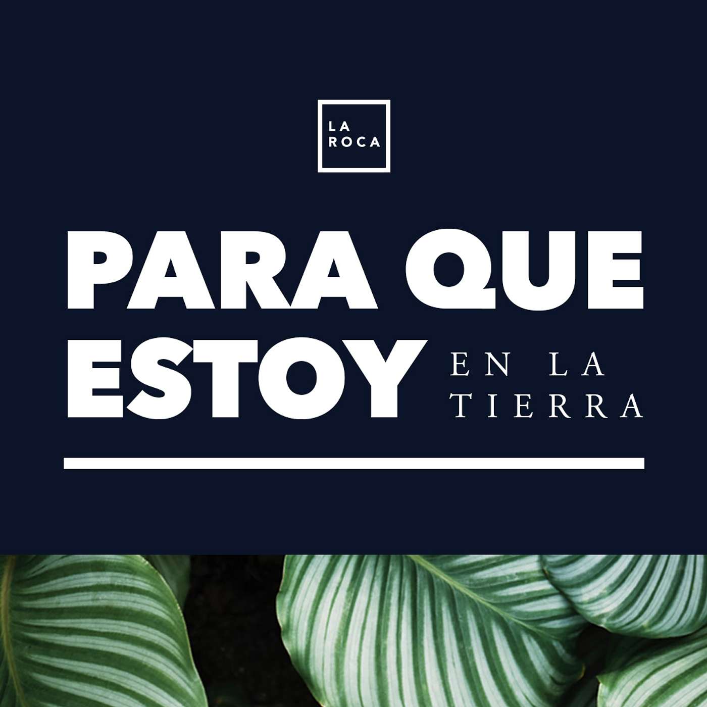 La Roca CC