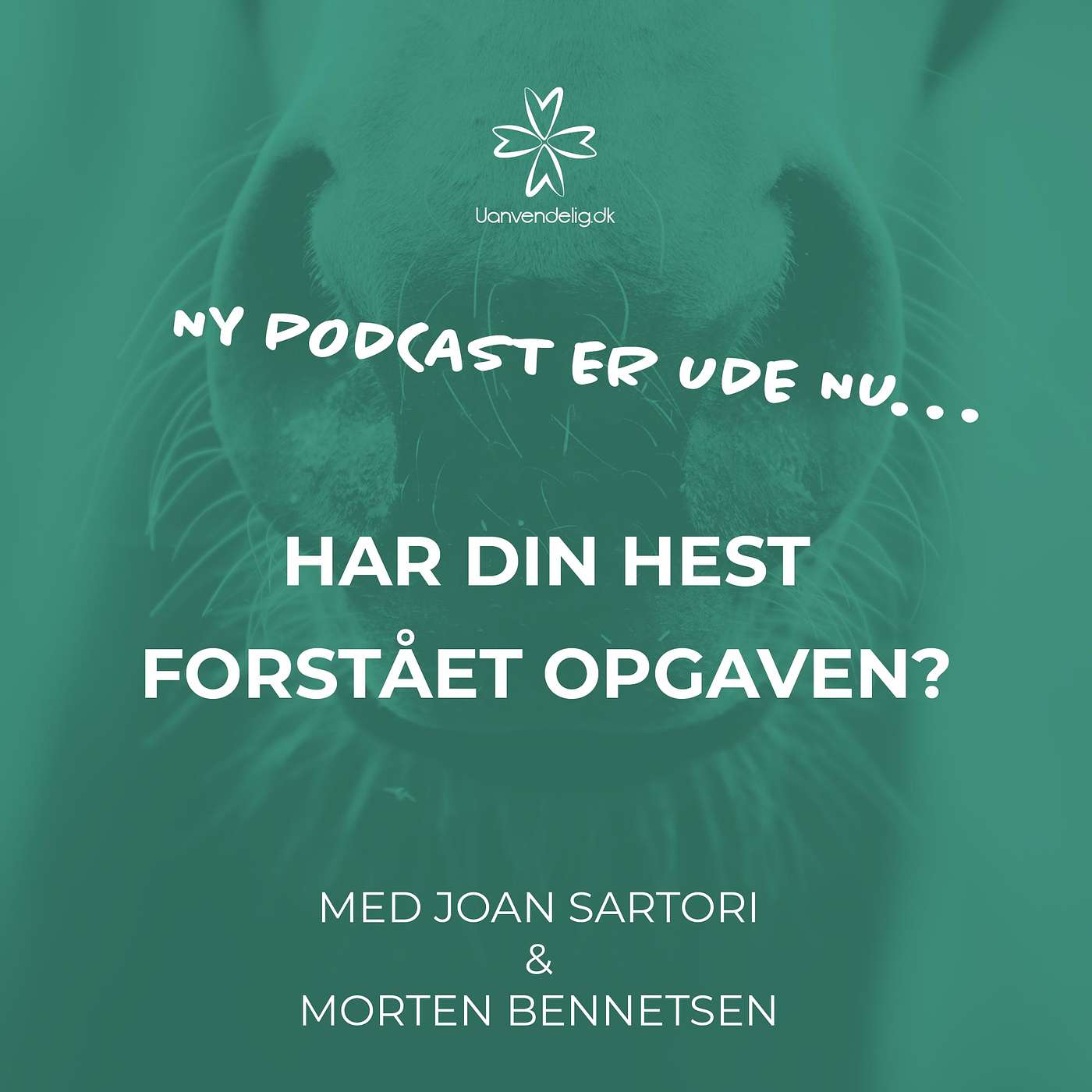 Uanvendelig eller Ridehest