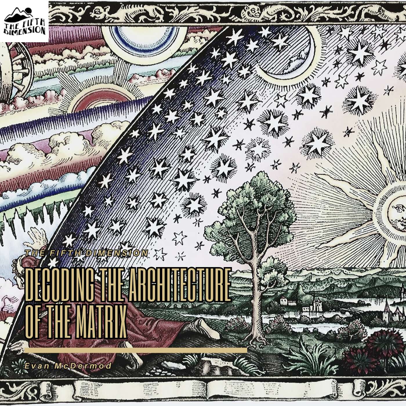 Decoding the Architecture of the Matrix