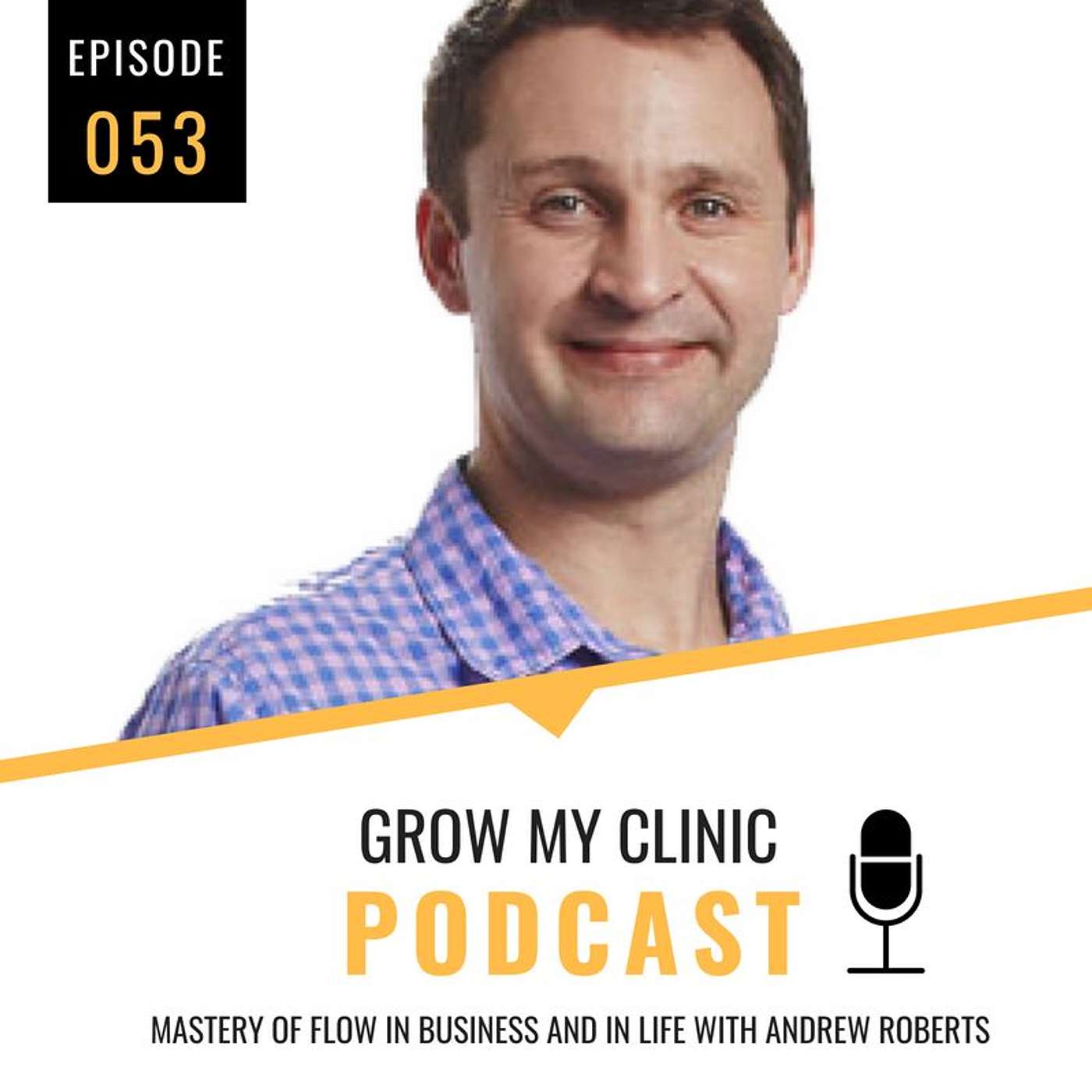 053 - Mastery of Flow in Business and in Life with Andrew Roberts episode artwork