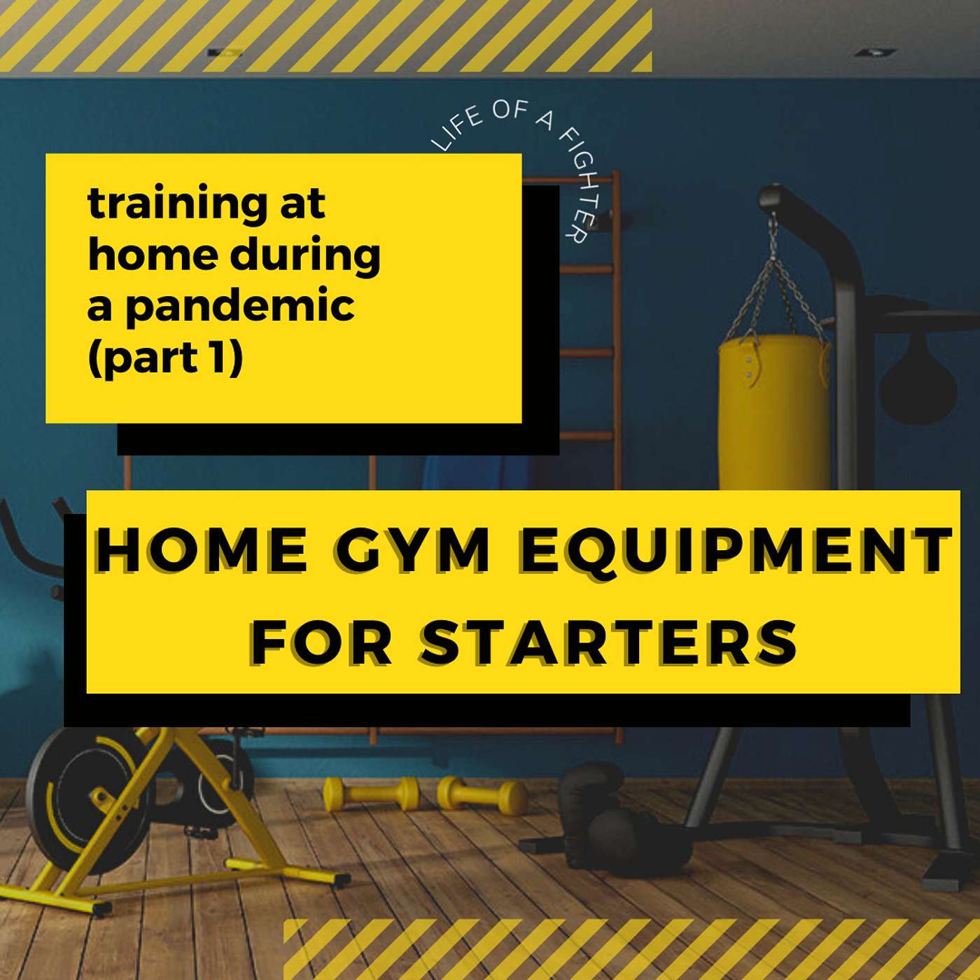Training at Home During a Pandemic [Part 2] Home Gym Equipment for Starters - LOF Podcast 246 episode artwork