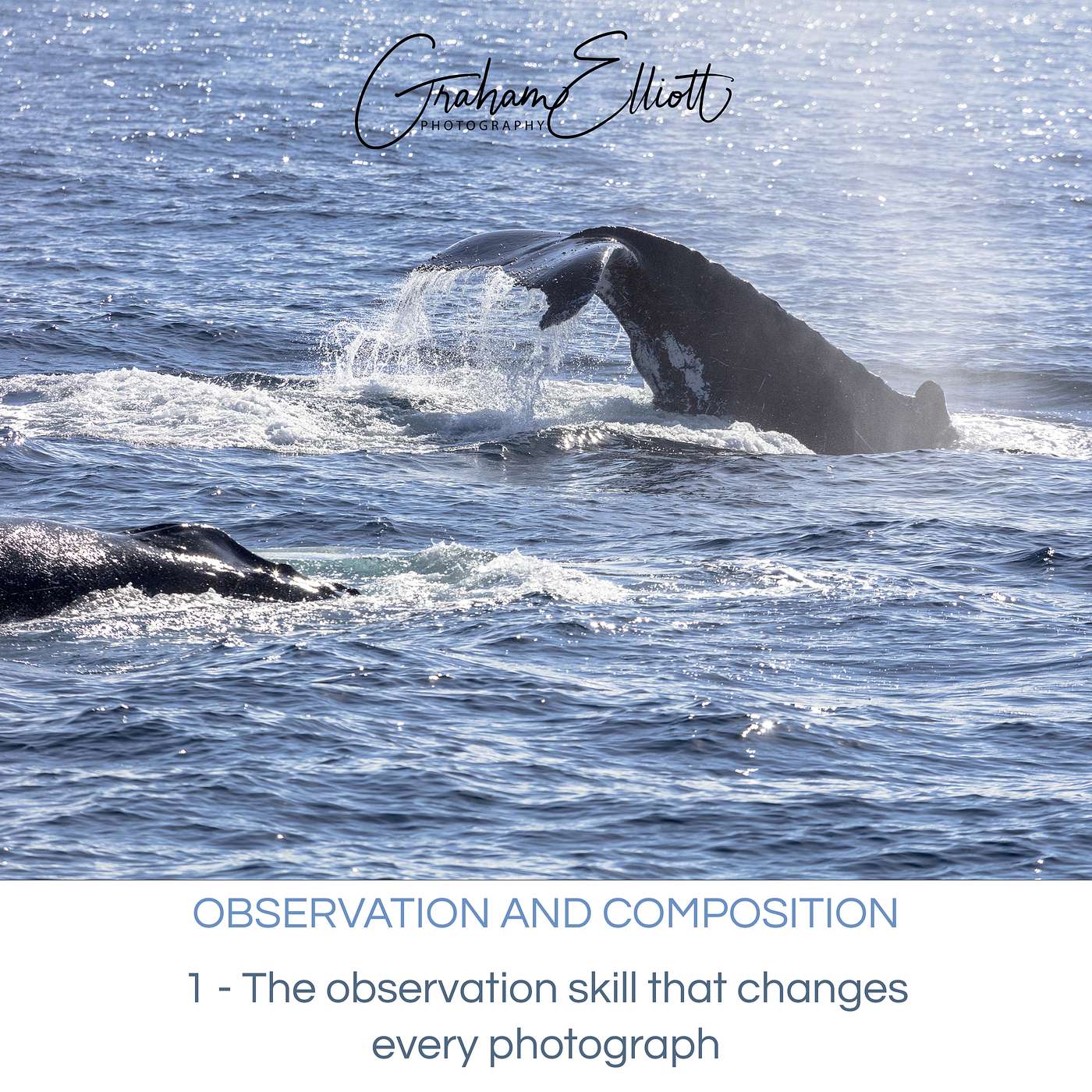 Observation and Composition Ep 1: The observation skill that changes every photograph