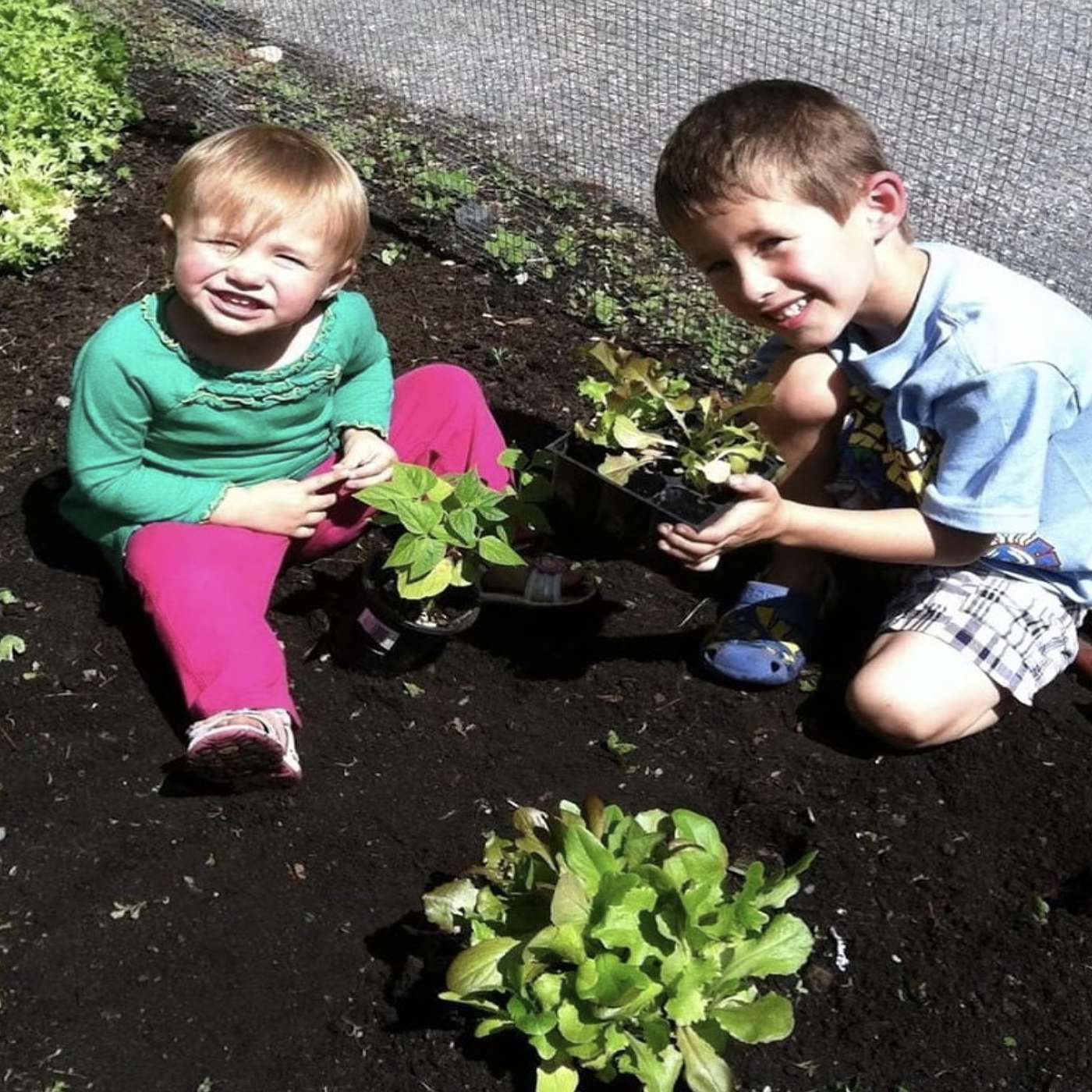 The Joy of Gardening with Kids