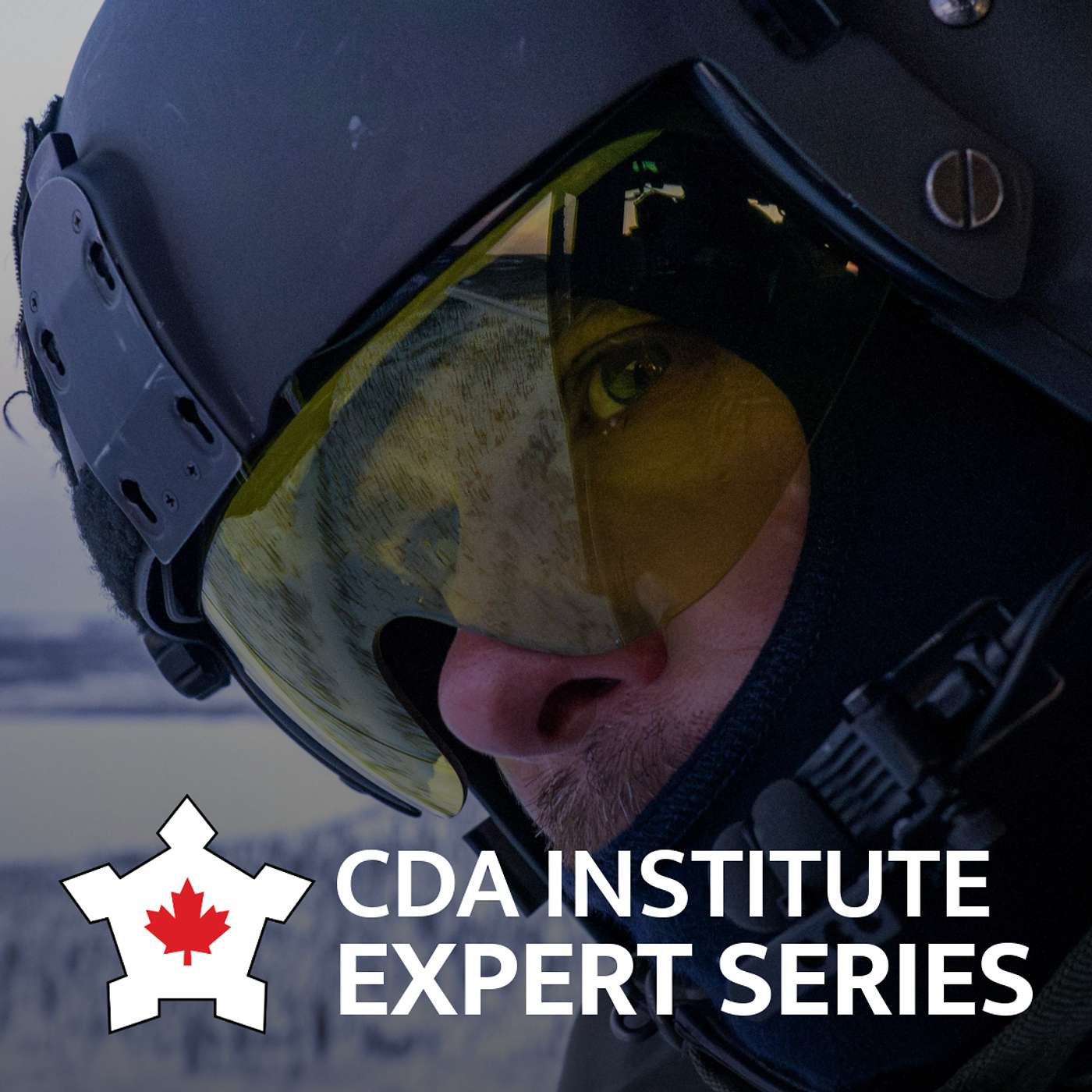 Conference of Defence Associations Institute