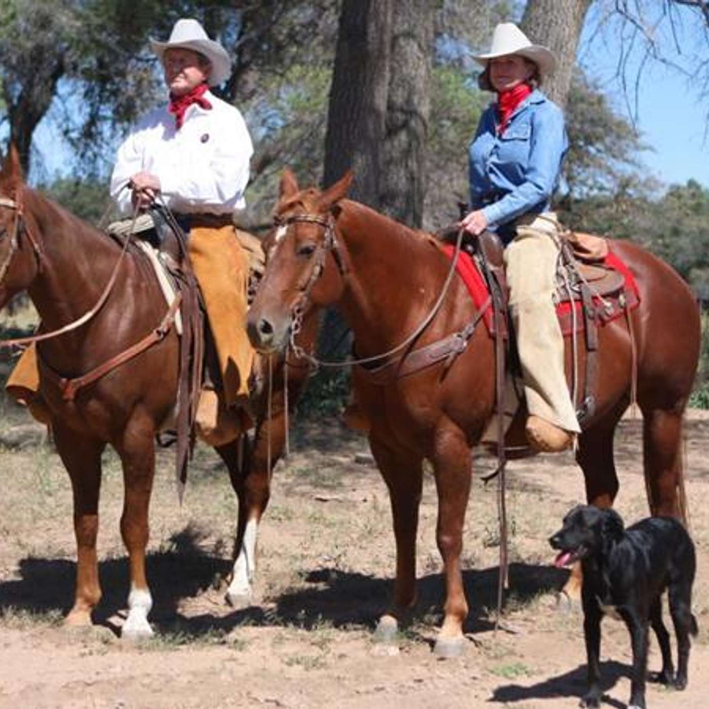 Equestrian Legacy Radio