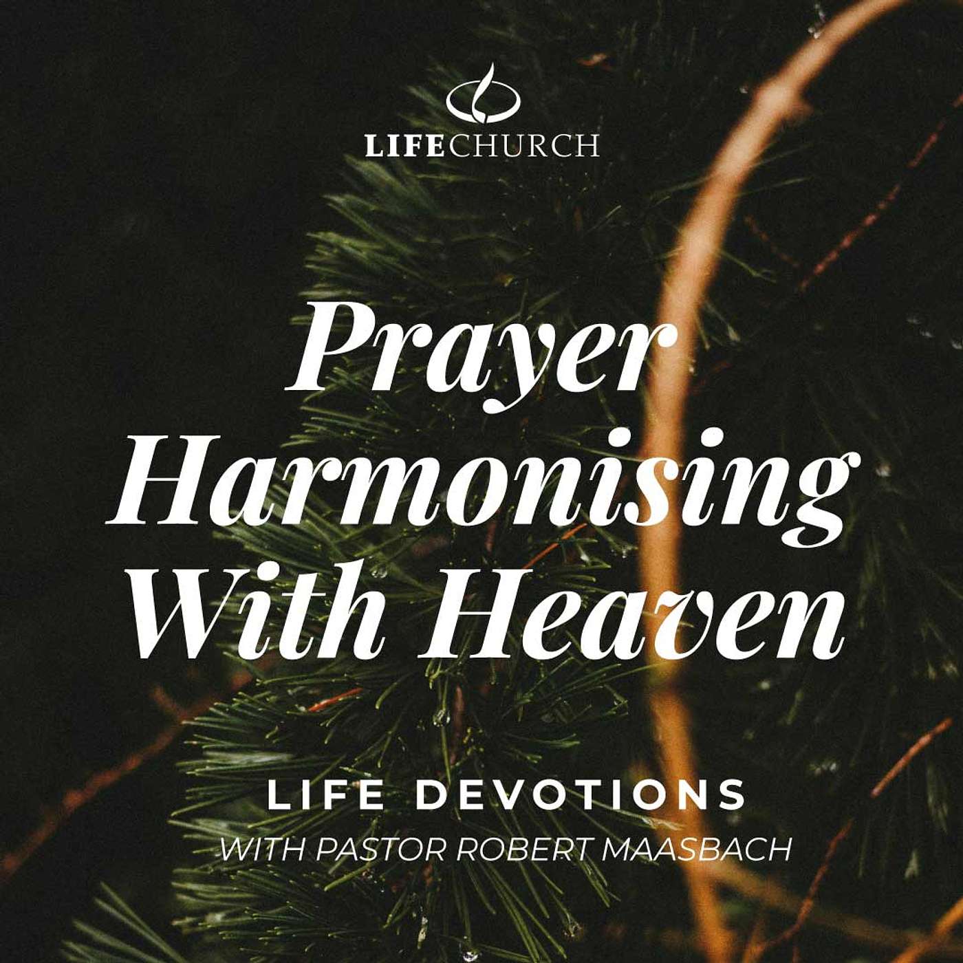 Prayer Harmonising With Heaven - 24.12.24