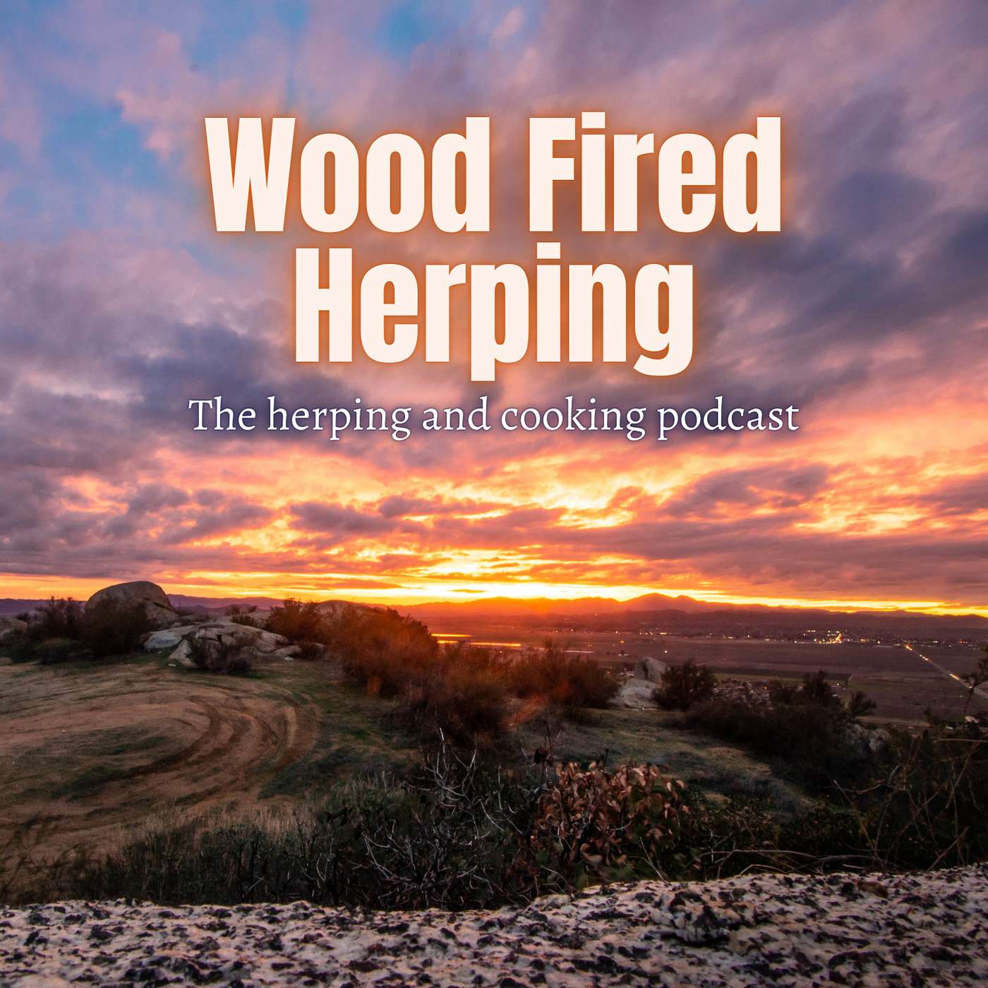Herping Southern California - an overview