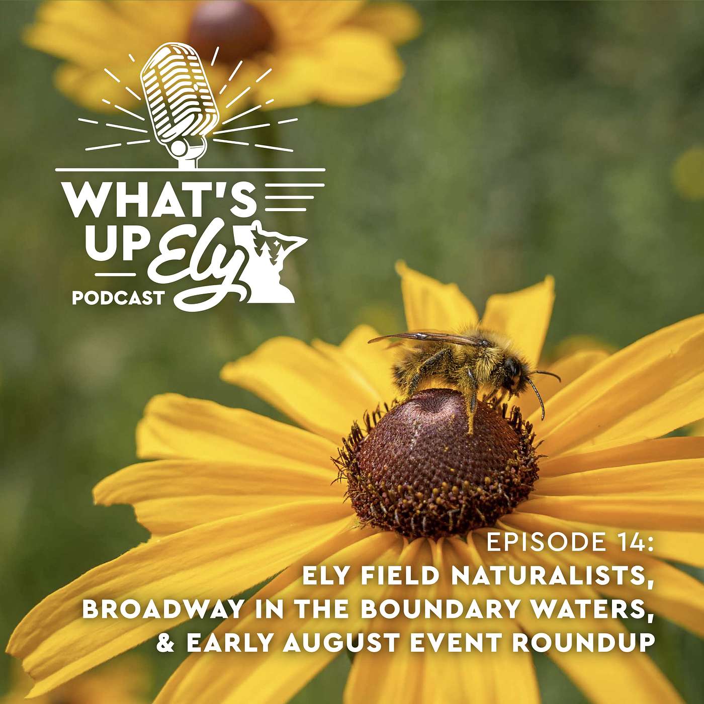 What\'s Up Ely