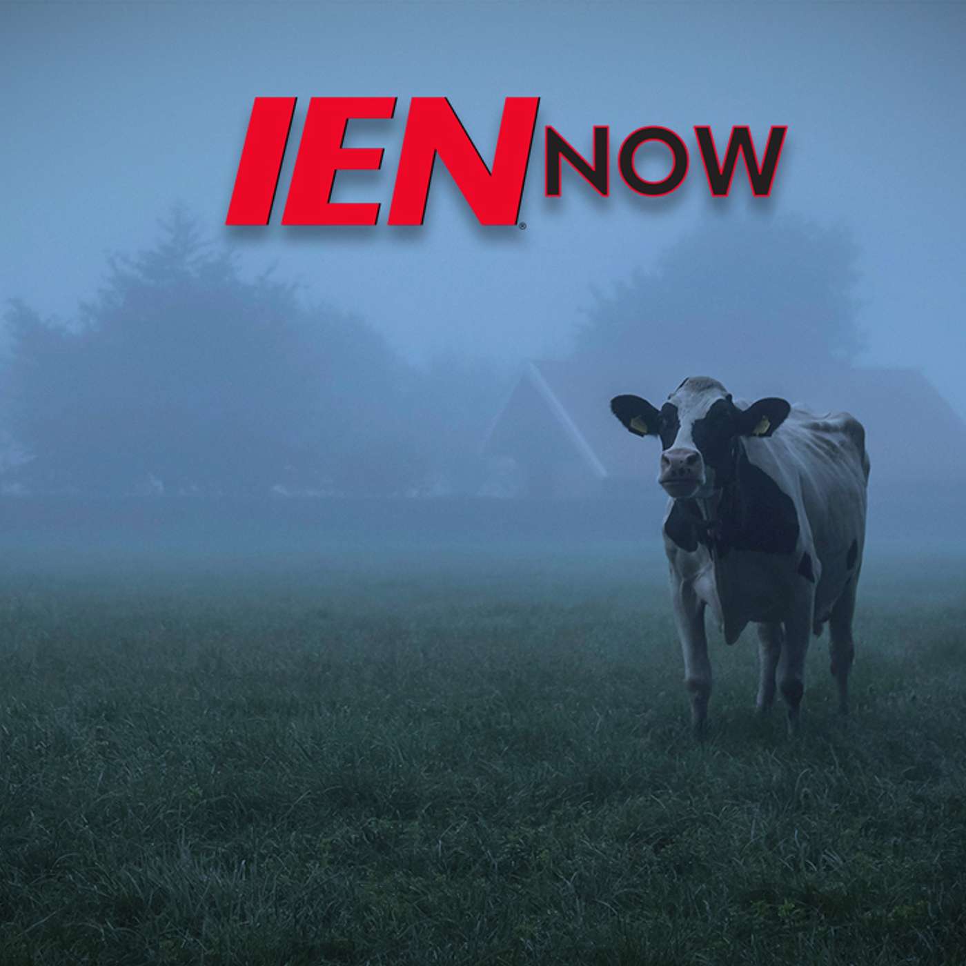 IEN Radio