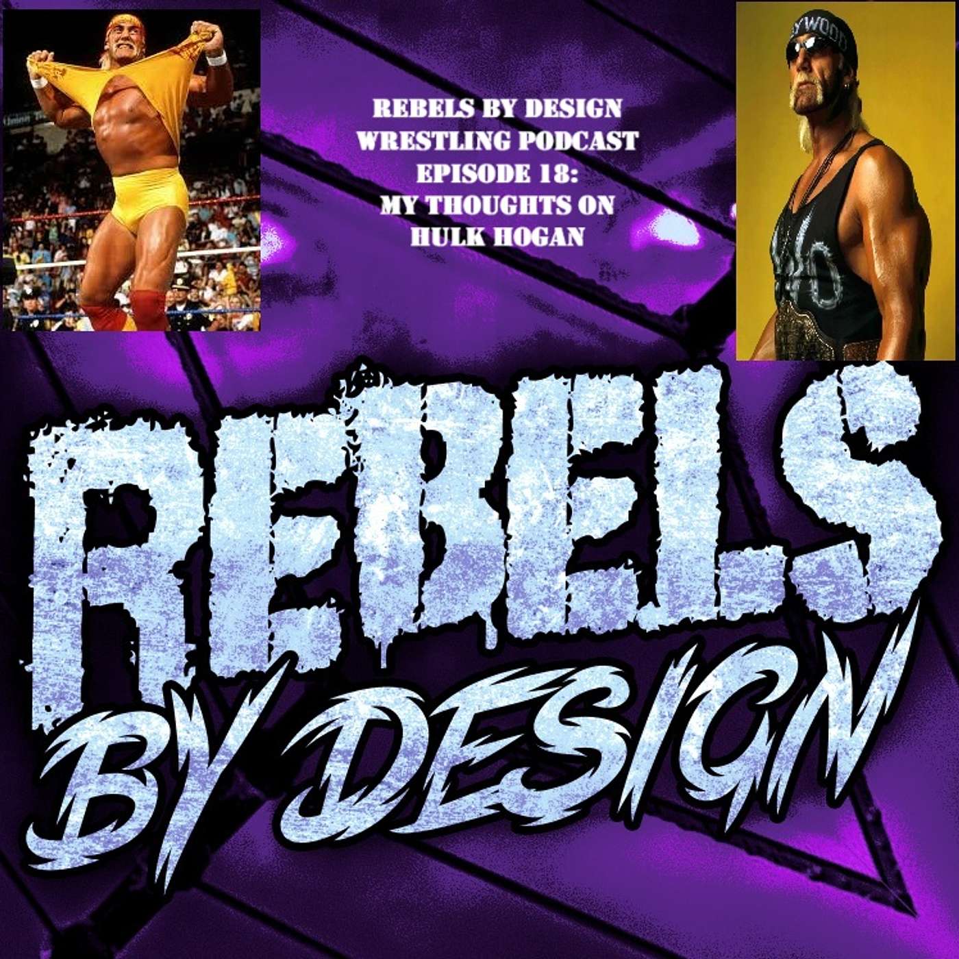 Episode 18: My Thoughts on Hulk Hogan