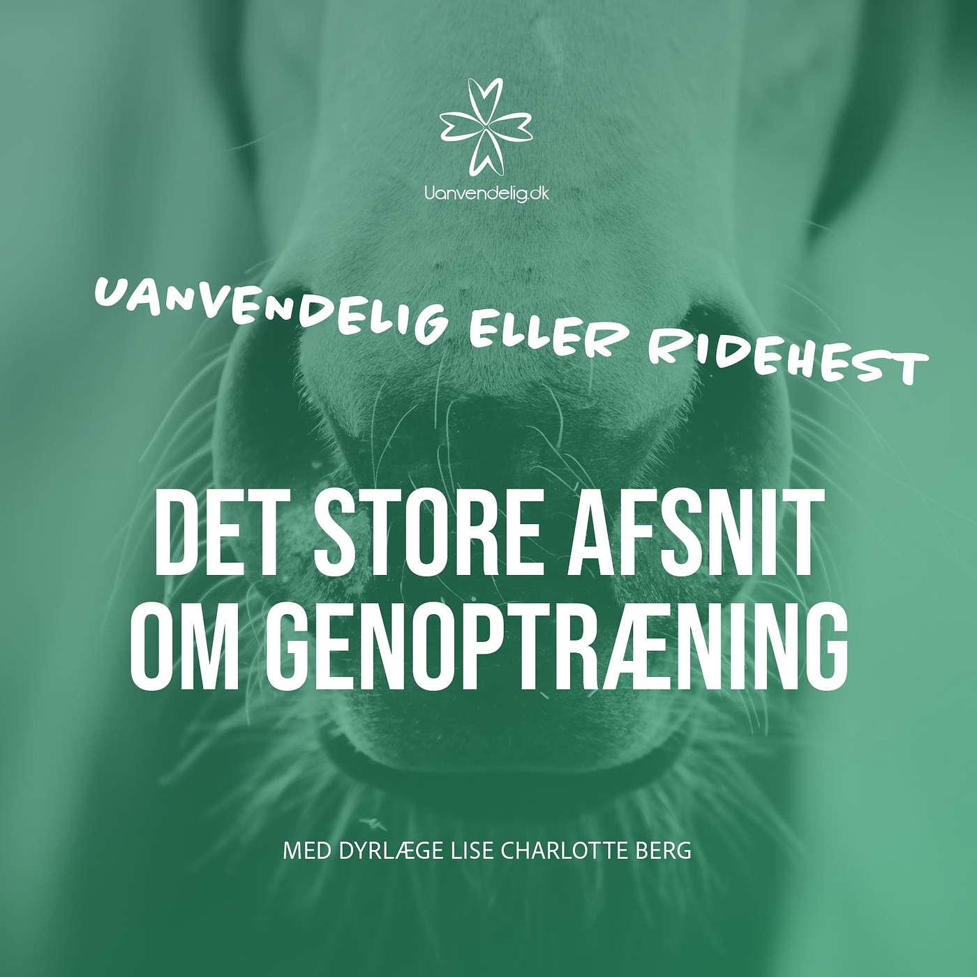 Uanvendelig eller Ridehest