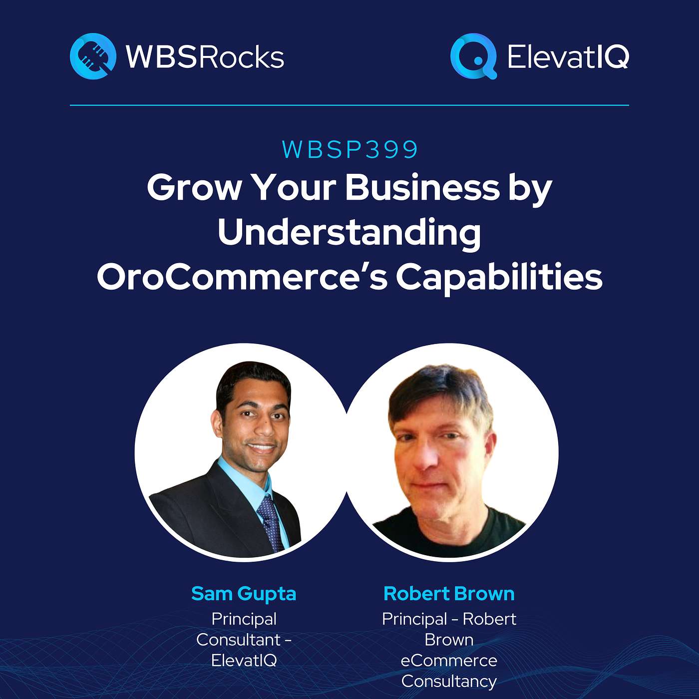 WBSP399: Grow Your Business by Understanding OroCommerce’s Capabilities, an Objective Panel Discussion