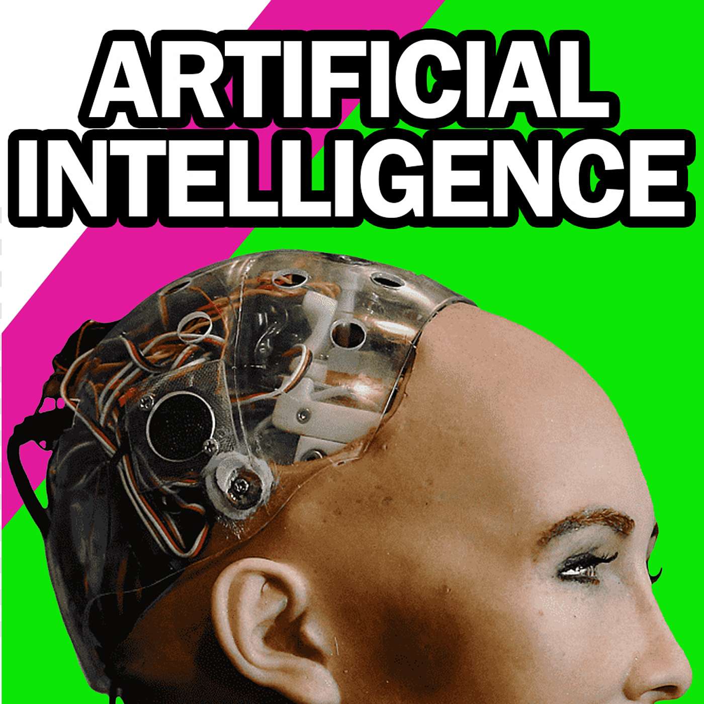 Artificial Intelligence