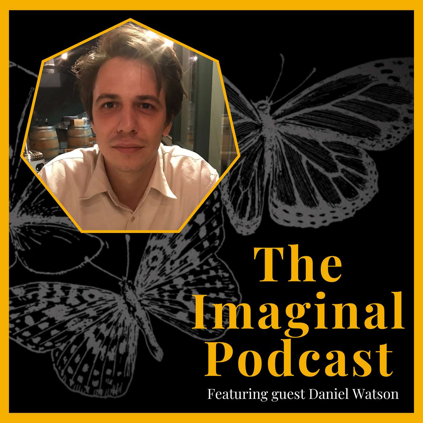 The Imaginal Podcast