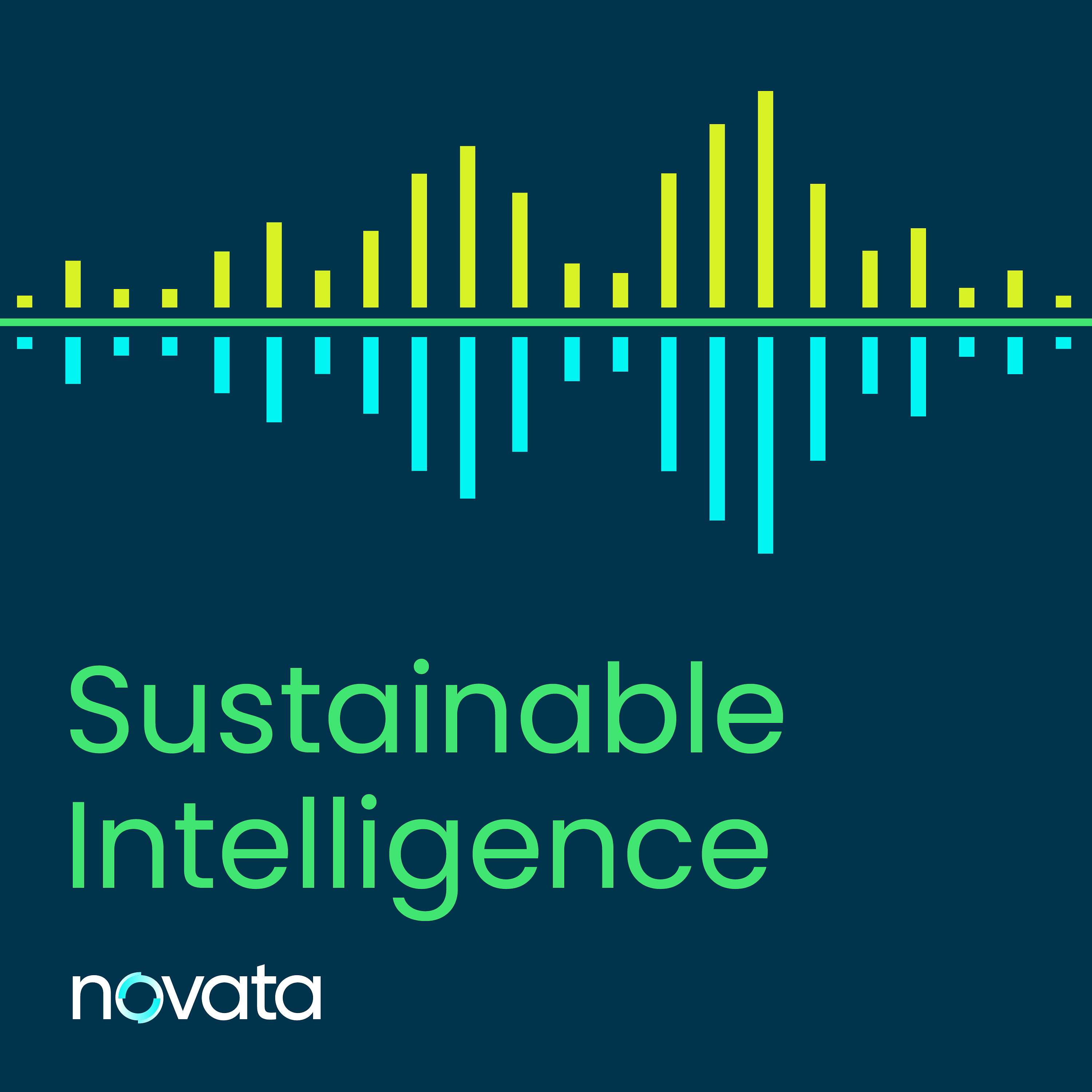 Sustainable Intelligence