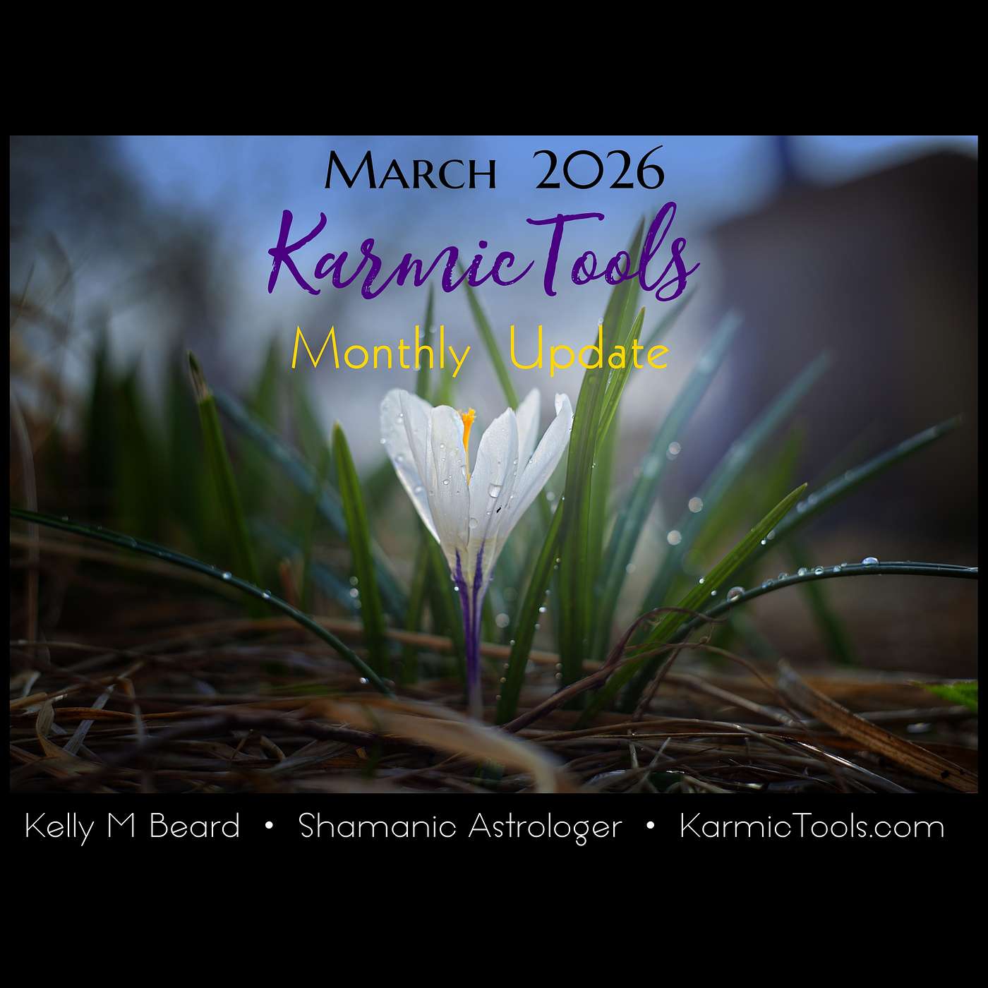 MARCH 2026 • KarmicTools Monthly Update • Events + Resources MARCH 2026 • KarmicTools Monthly Update • Events + Resources