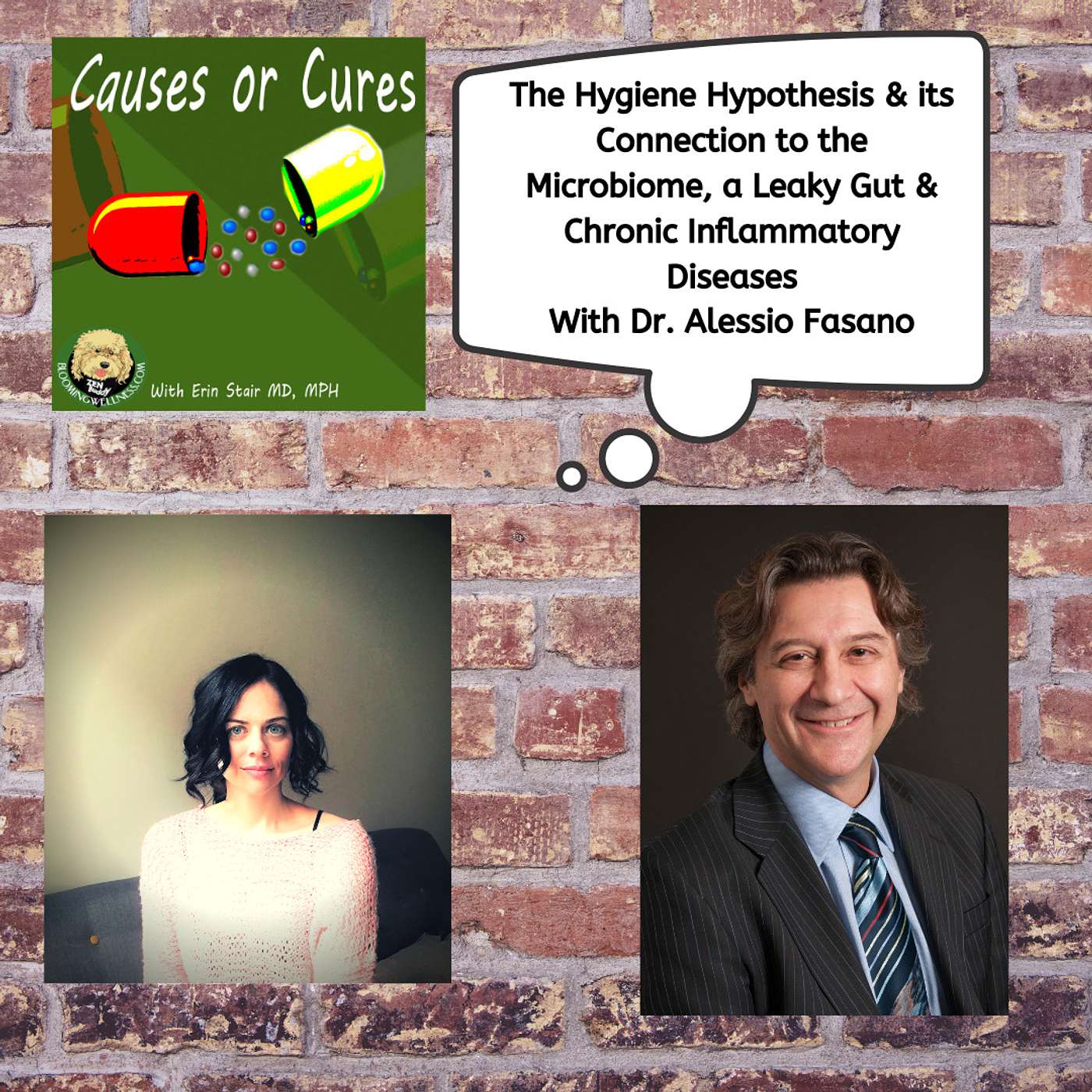 The Hygiene Hypothesis & its Link to the Microbiome, Leaky Gut & Chronic Inflammatory Diseases, with Dr. Alessio Fasano