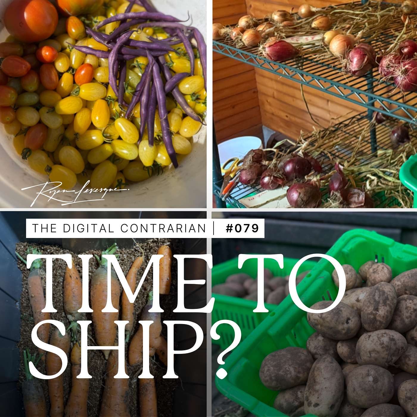 TDC 079: The Tension Between Resistance & Productive Procrastination: How to Know When It's Time to Ship