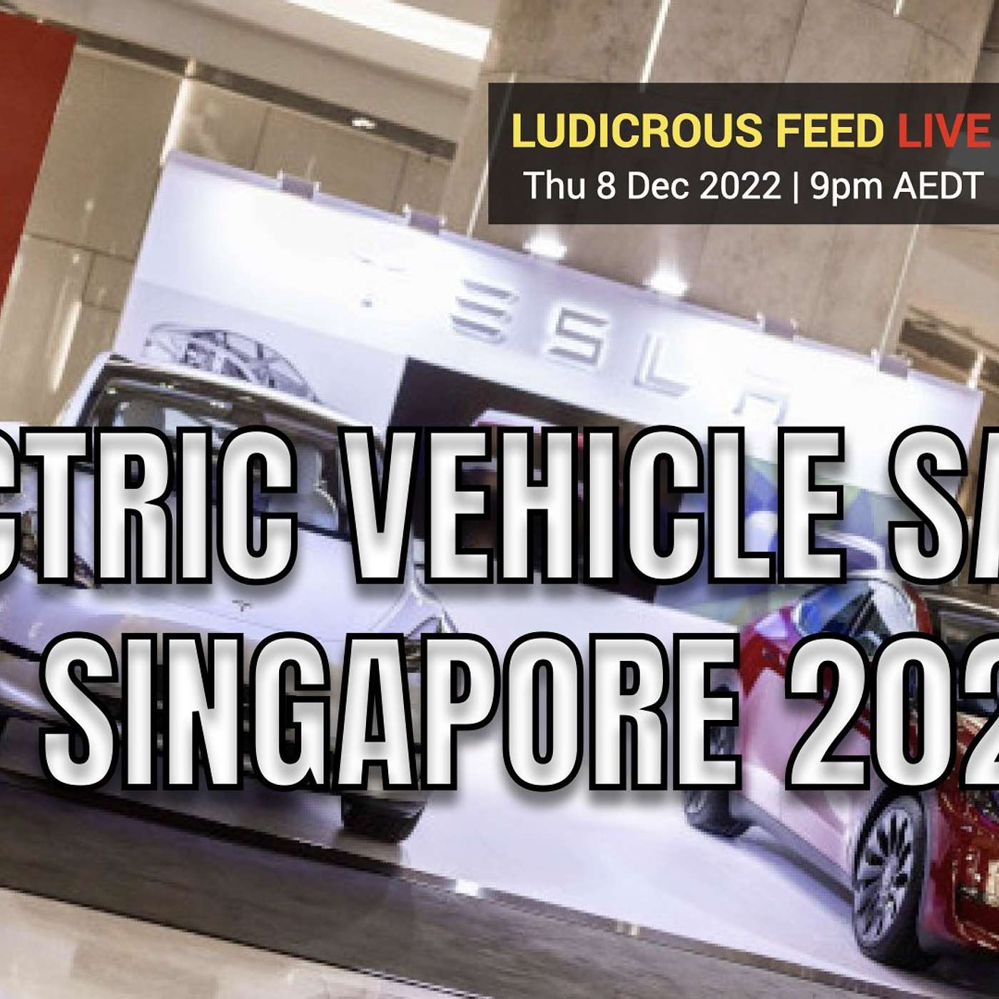 ELECTRIC VEHICLE SALES IN SINGAPORE 2022 | Interview with Daren Yoong