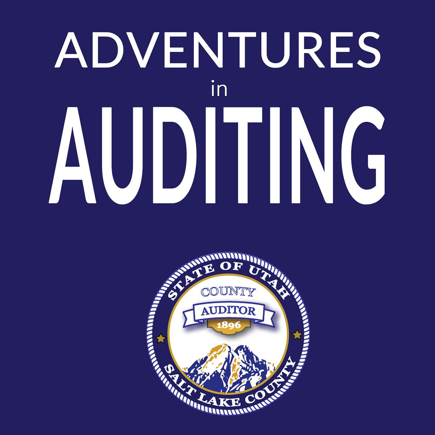 Adventures in Auditing
