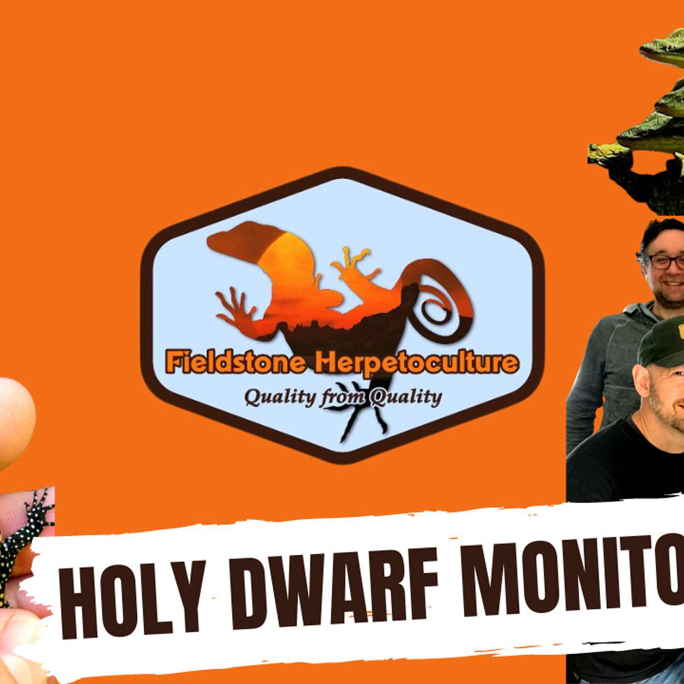 The Best Introduction Into The Monitor Game | Fieldstone Herpetoculture Ep. 312