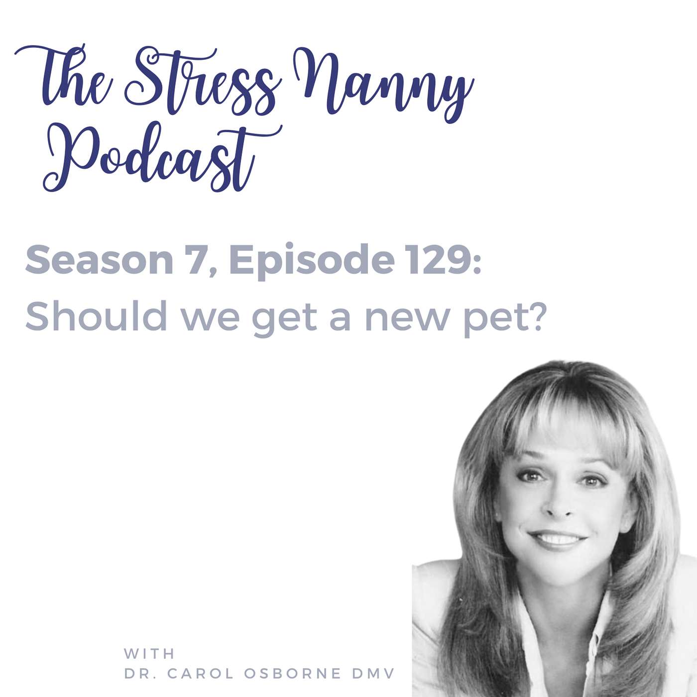 The Stress Nanny with Lindsay Miller