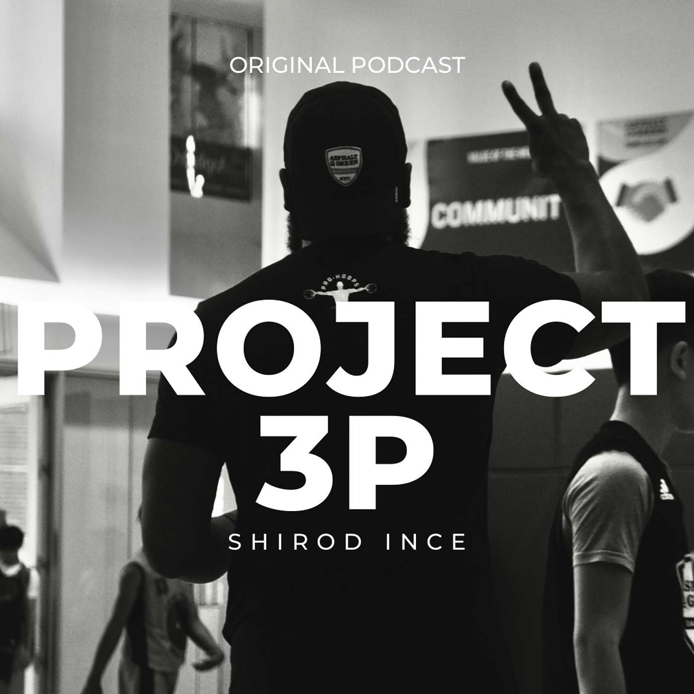 Project 3P