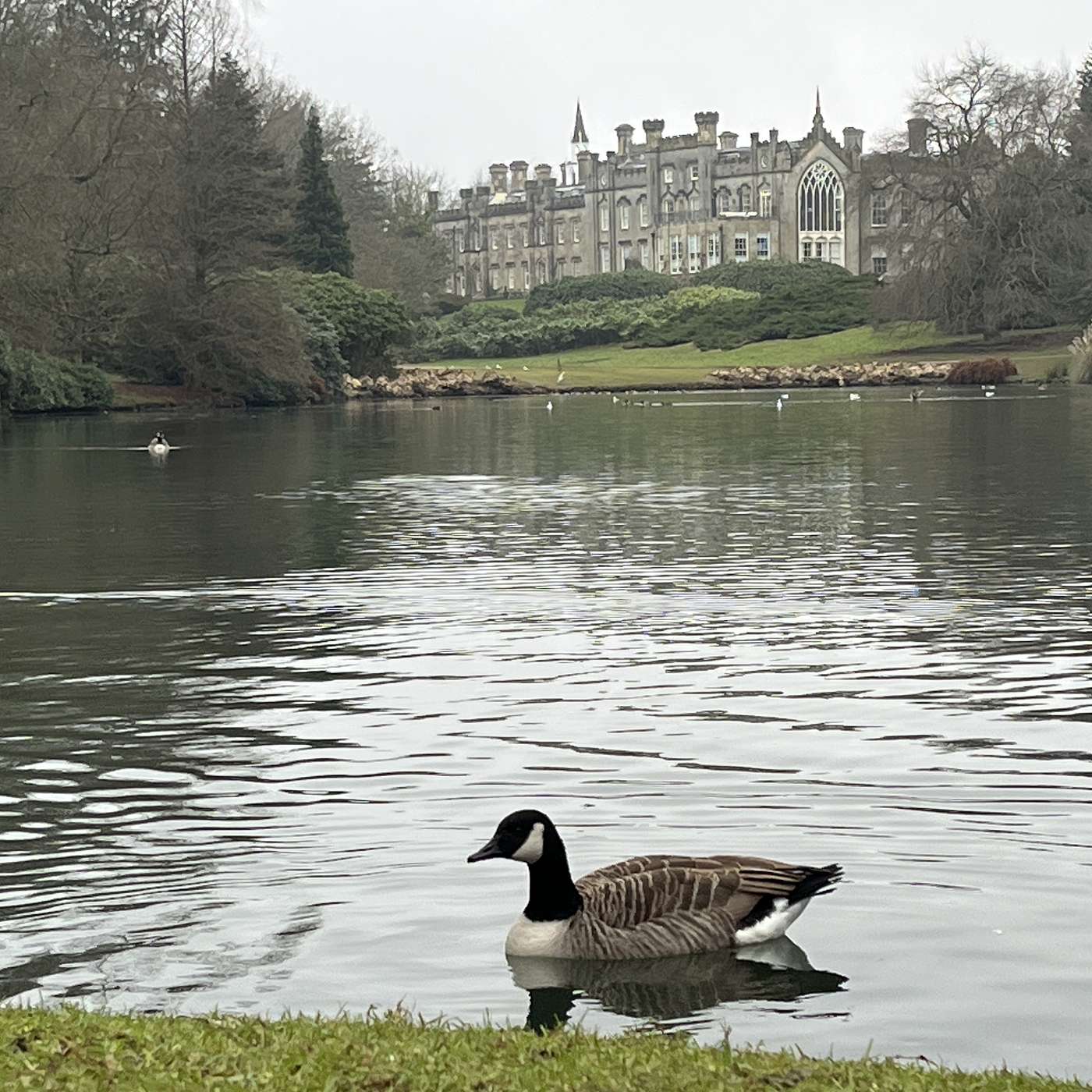 Sheffield Park: Cultivating Motivation
