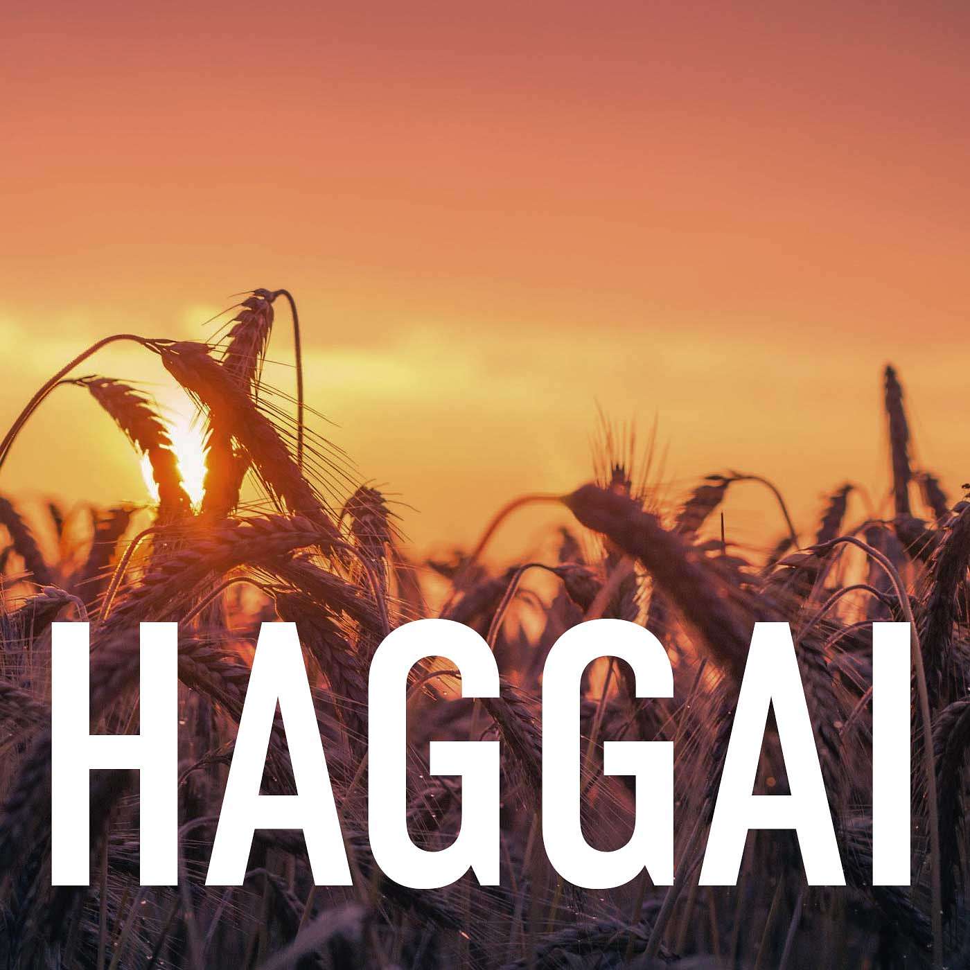 Haggai: The Shaking and the Coming Harvest Pt 2 - Haggai: The Shaking and the Coming Harvest episode artwork
